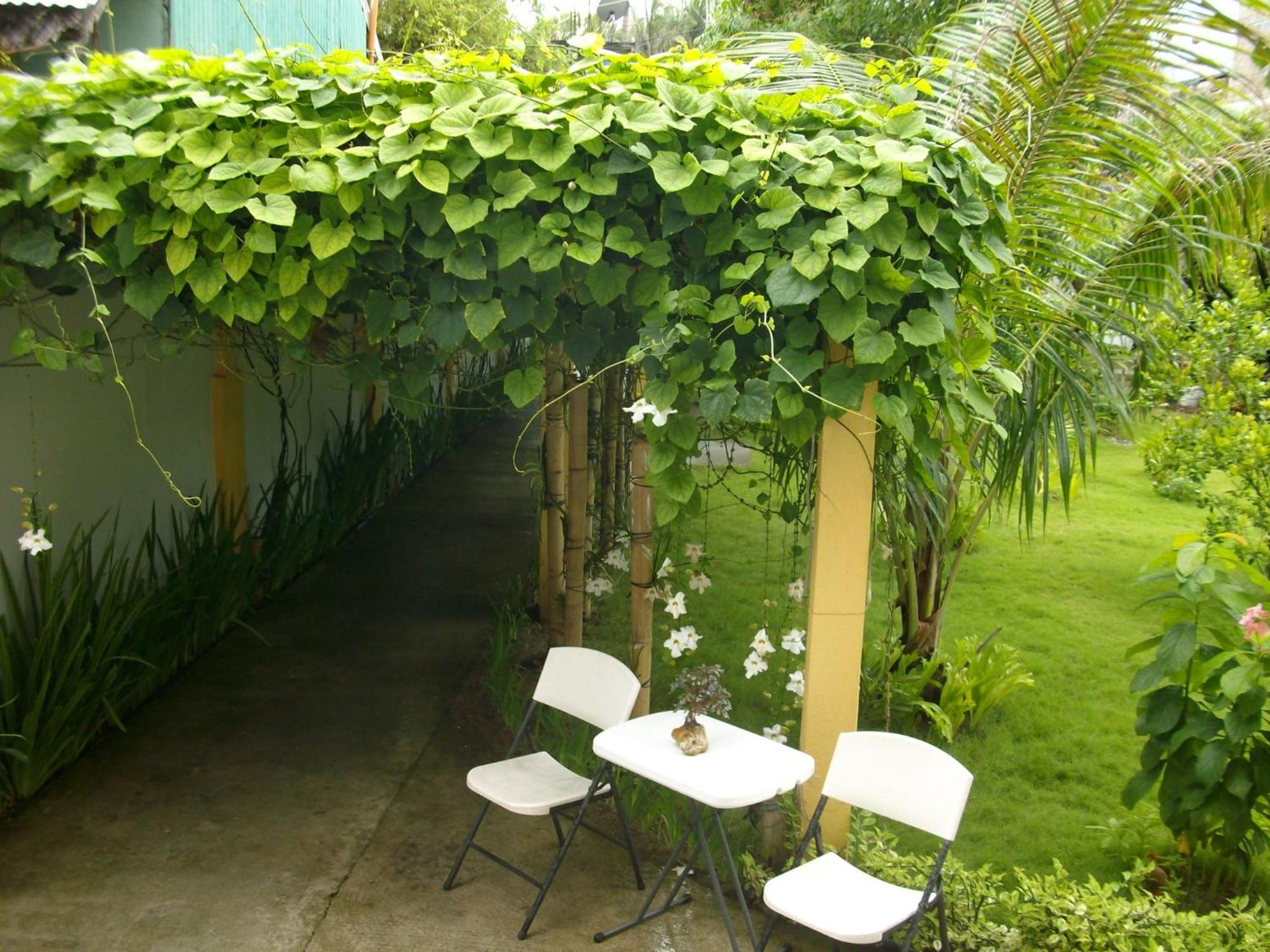 Photo 40
