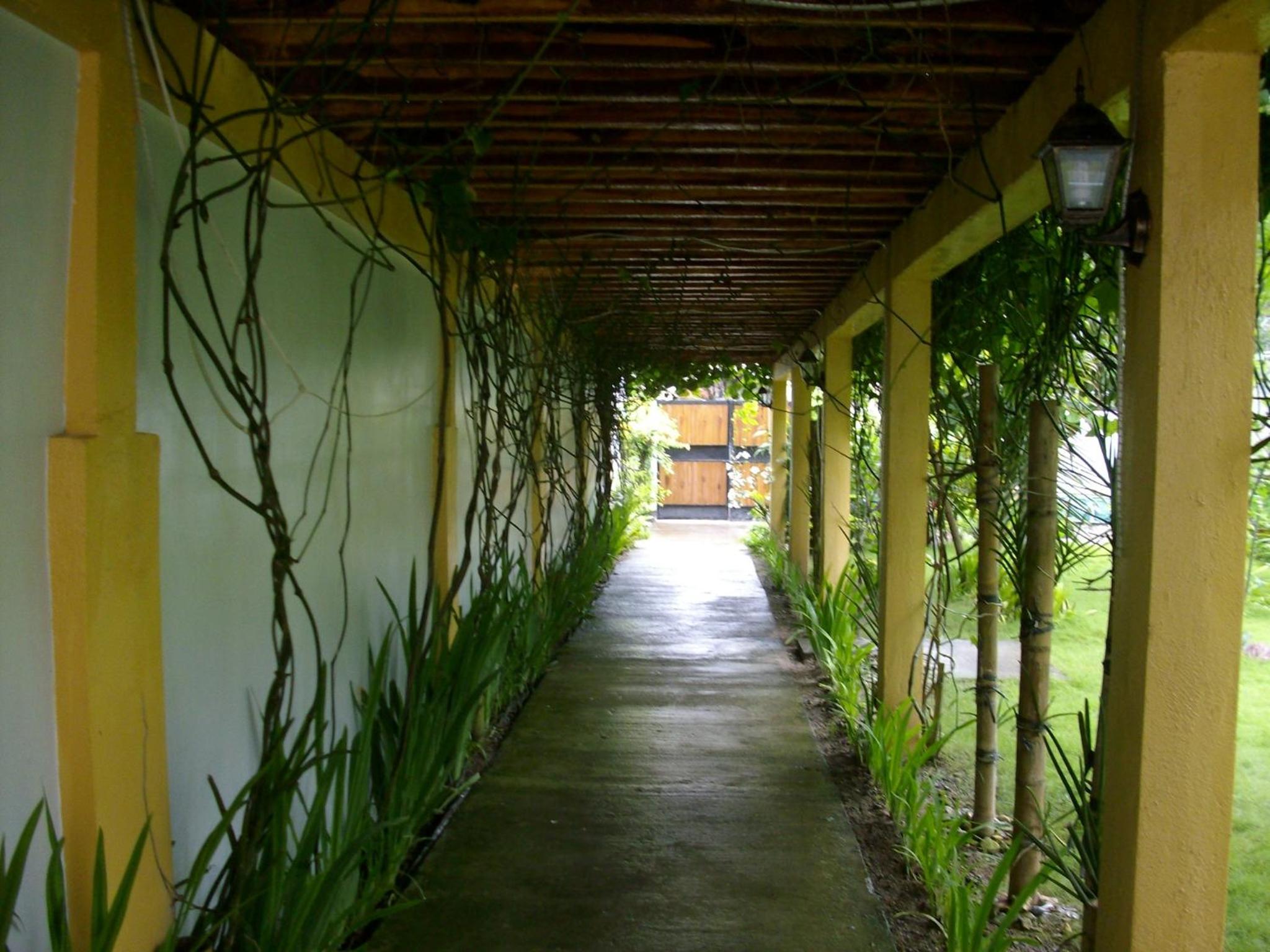 Photo 33