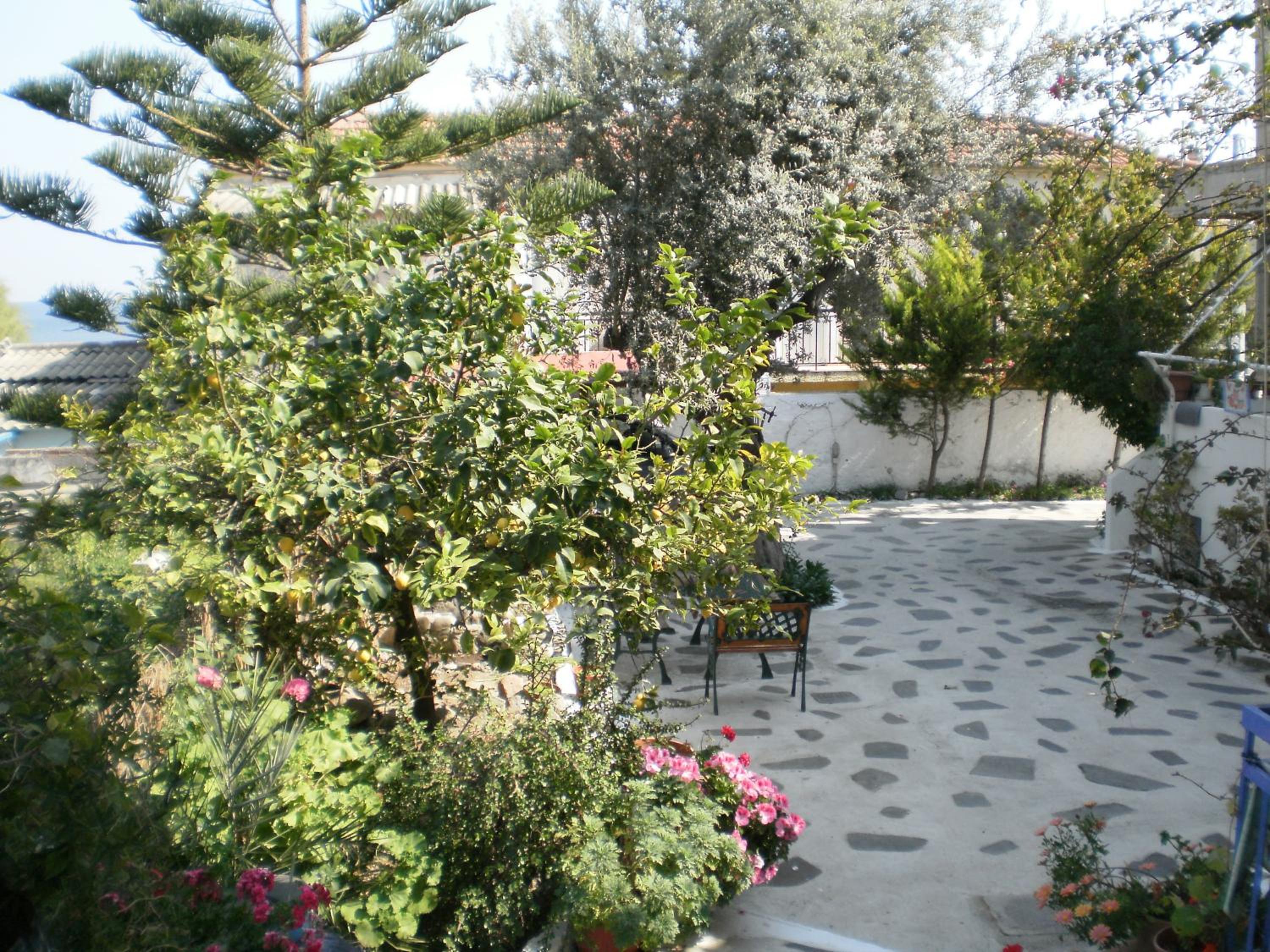Photo 24