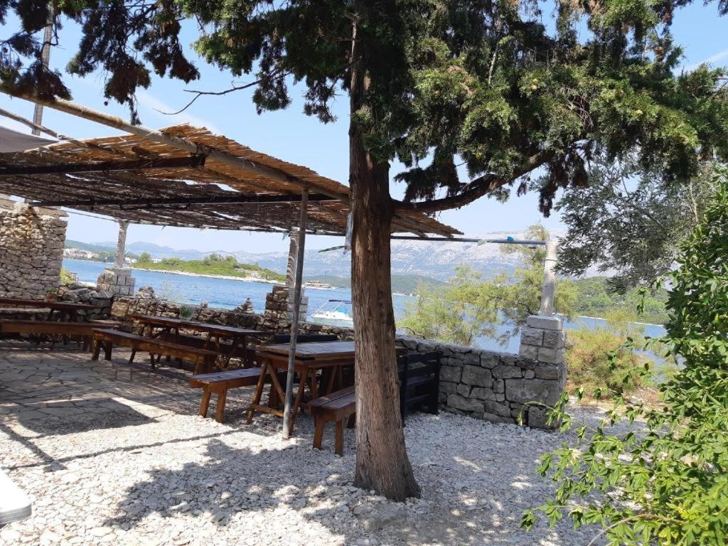 Beach Island House view 4
