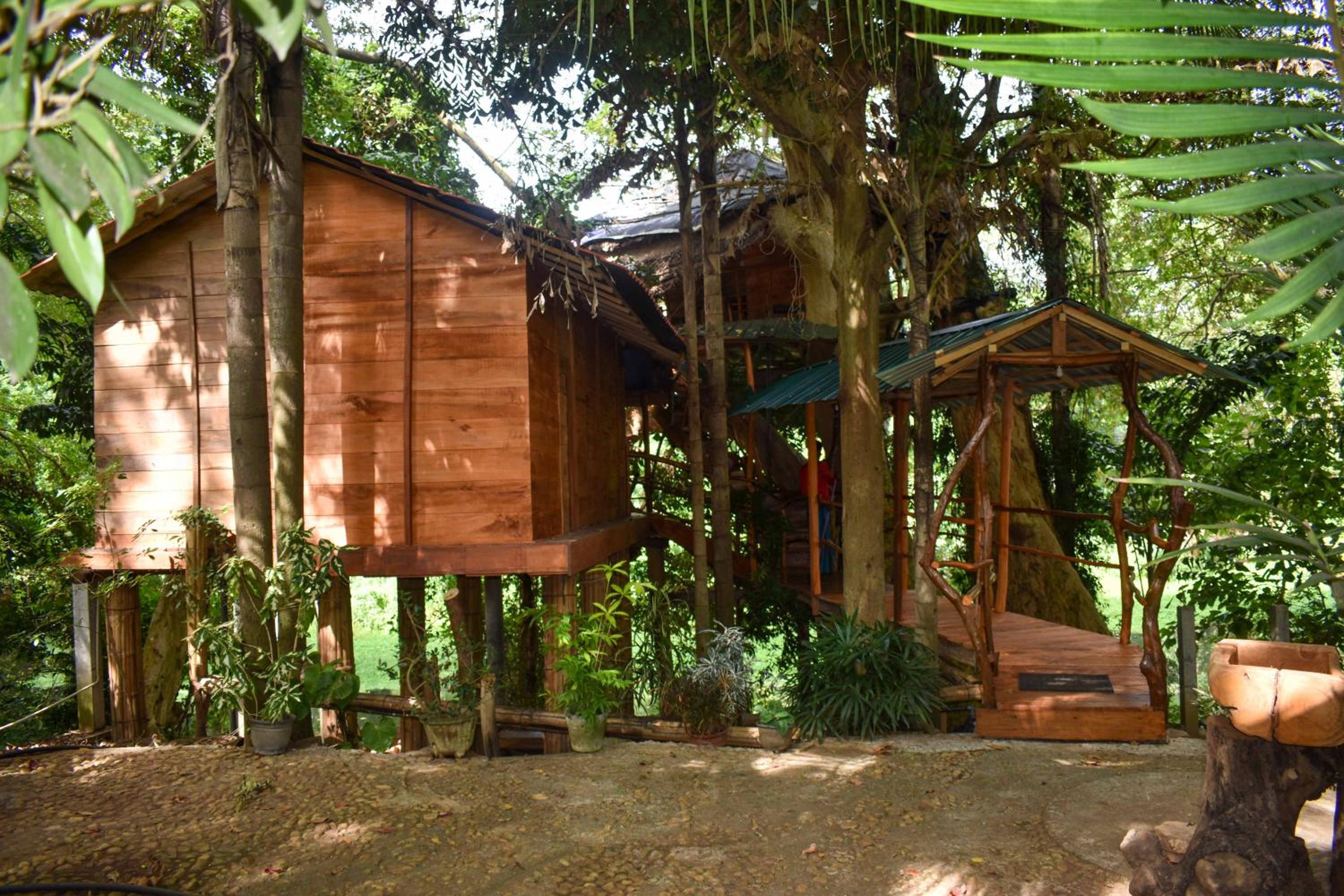 Kumbuk Tree House Yala Safari Place view 3