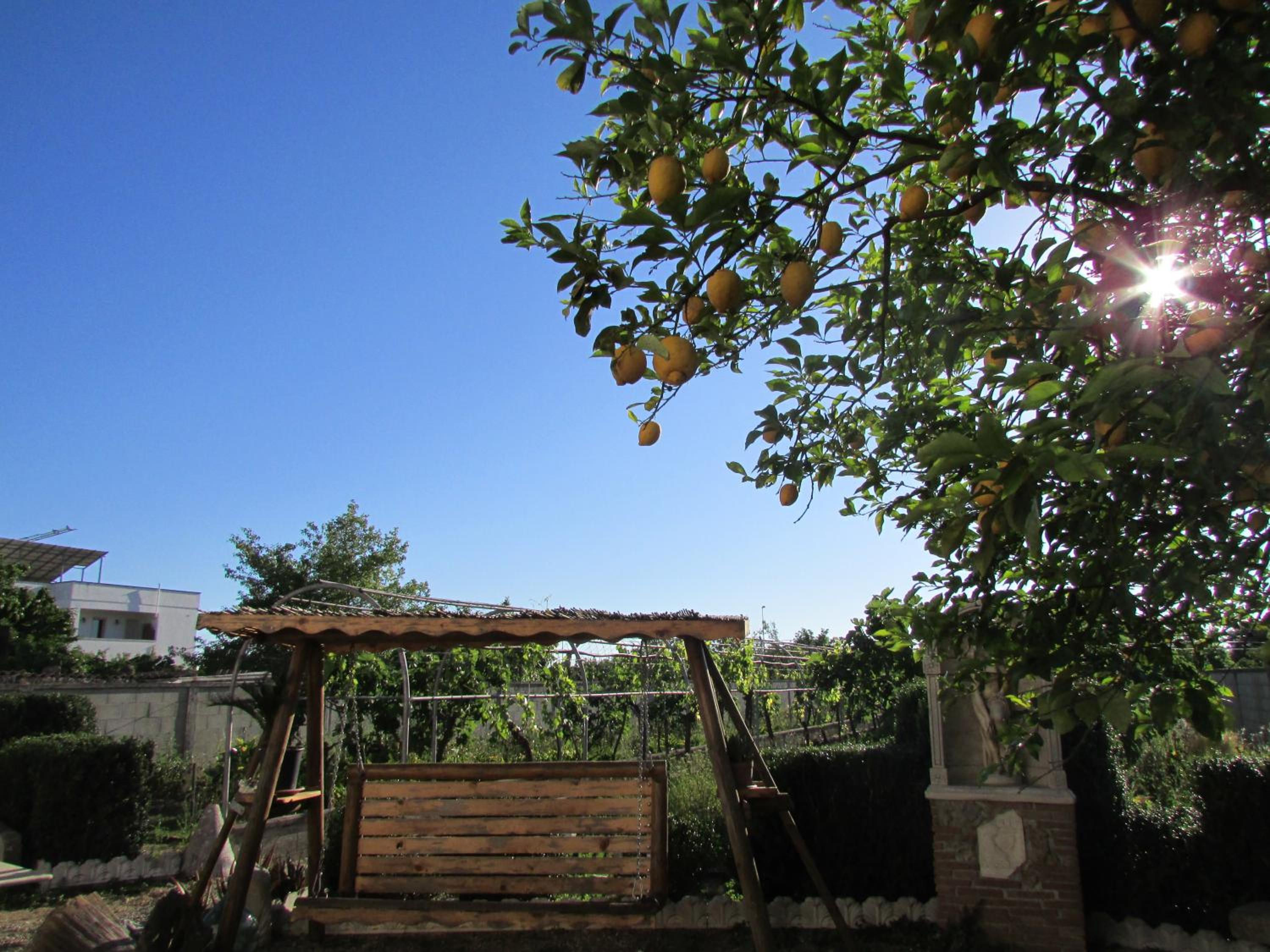Photo 25