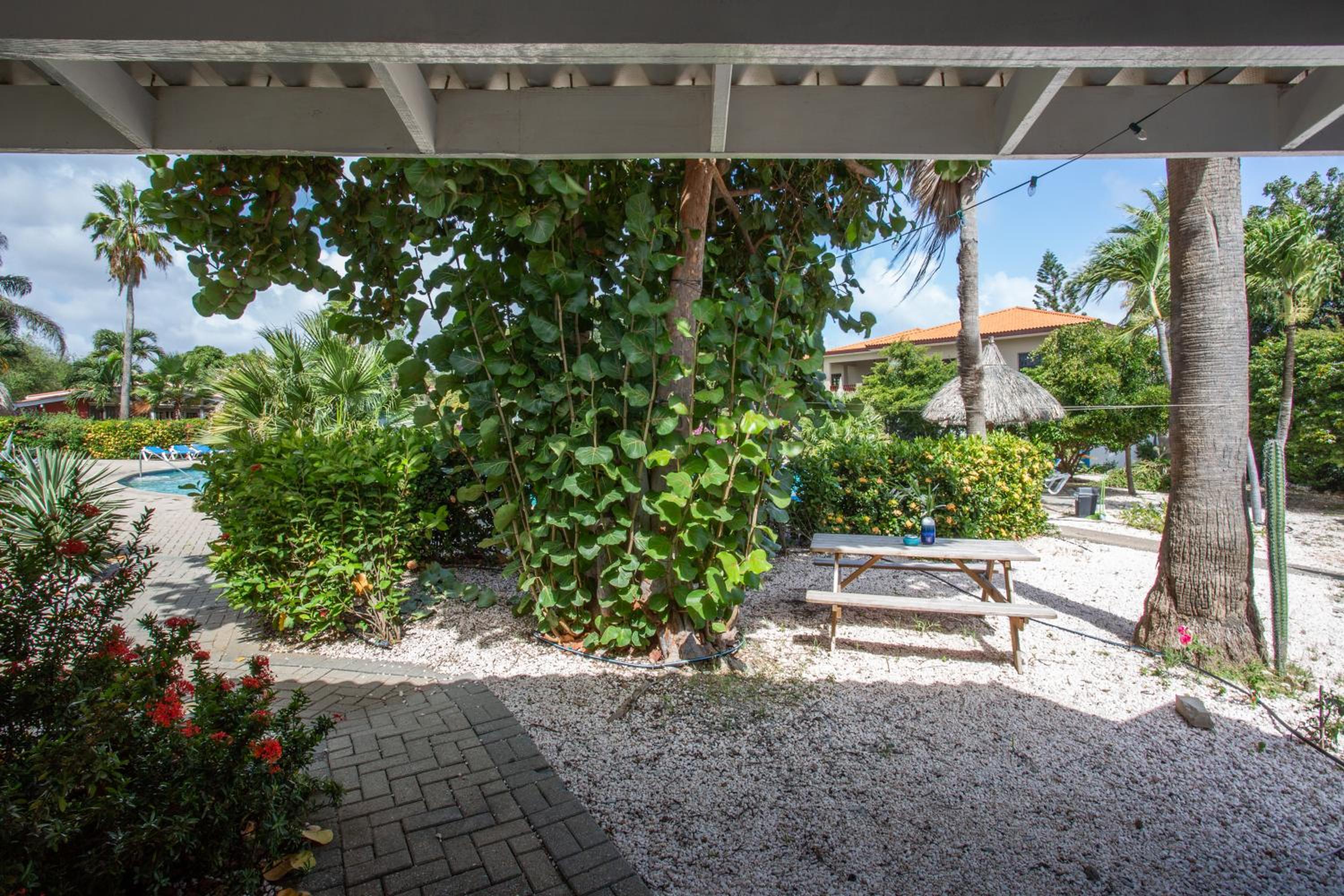 Studio at the pool in tropical Resort Seru Coral with privacy and large pool