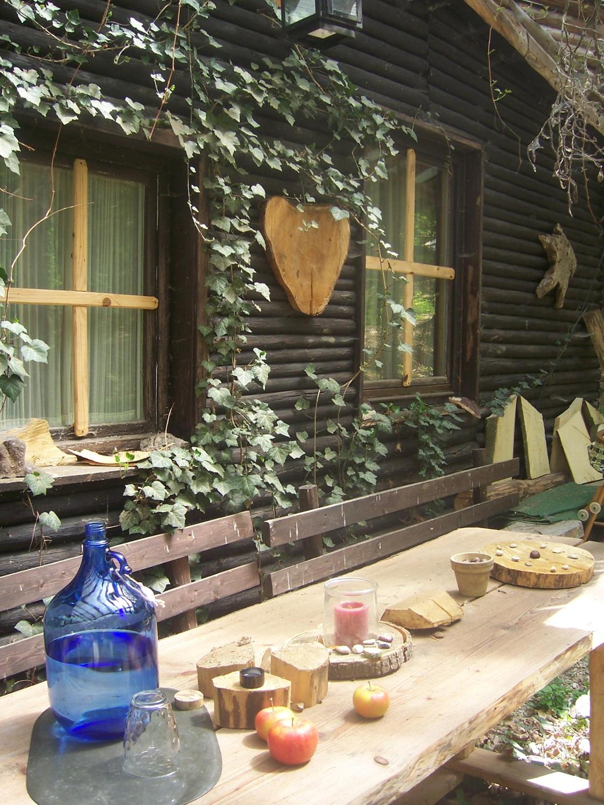 Das wilde Auwaldhaus