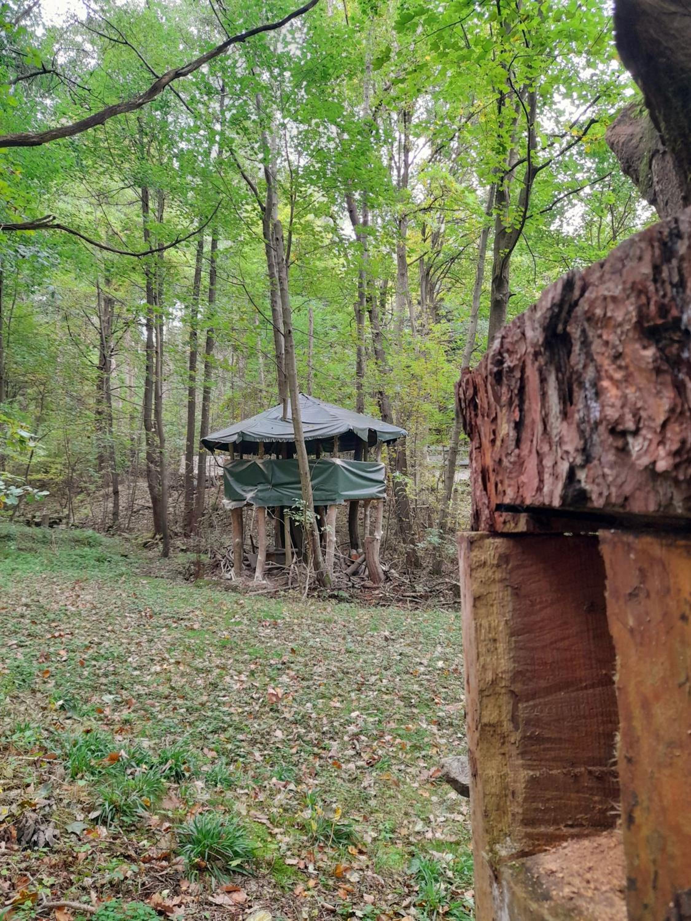 Das wilde Auwaldhaus