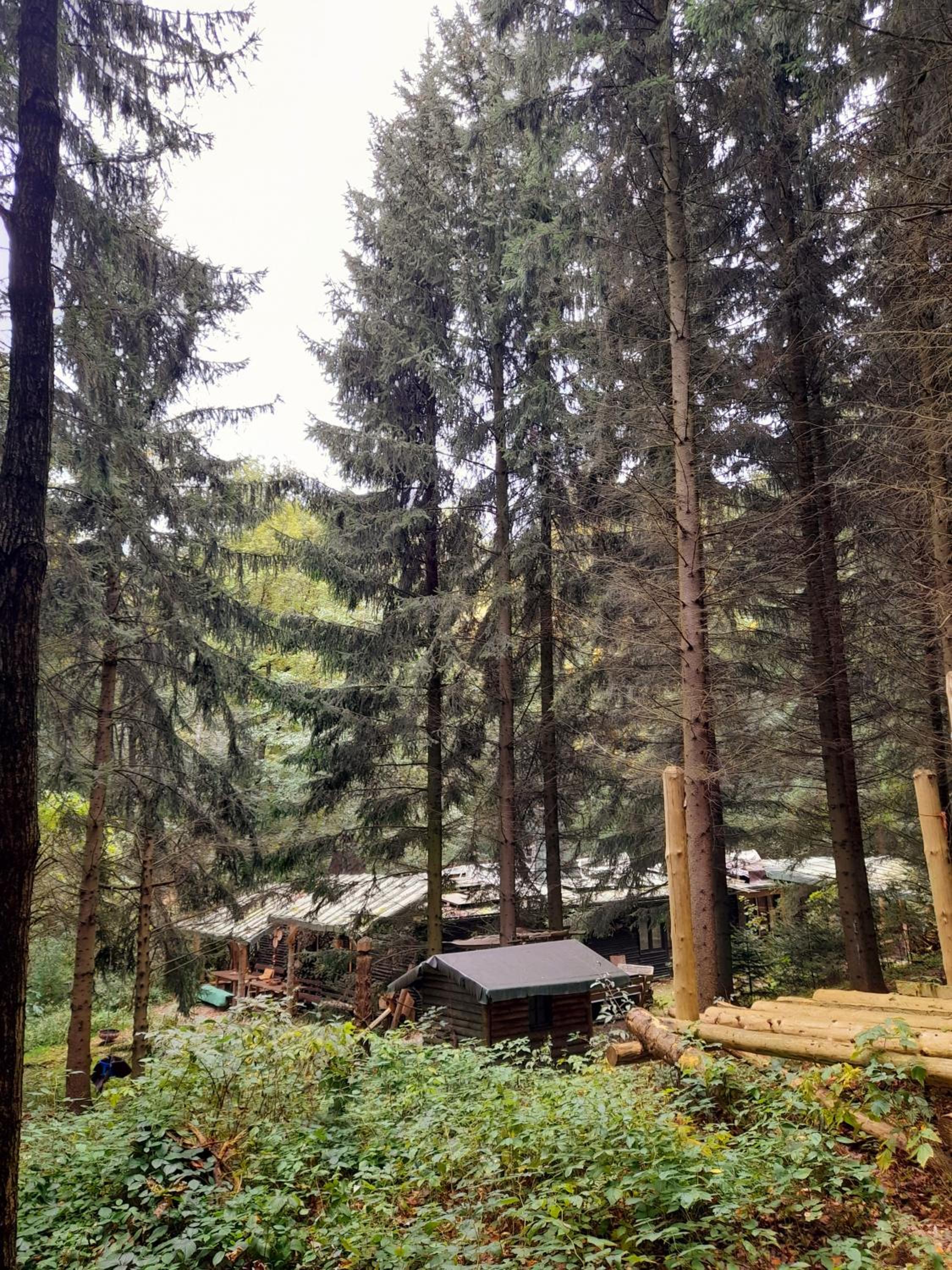 Das wilde Auwaldhaus