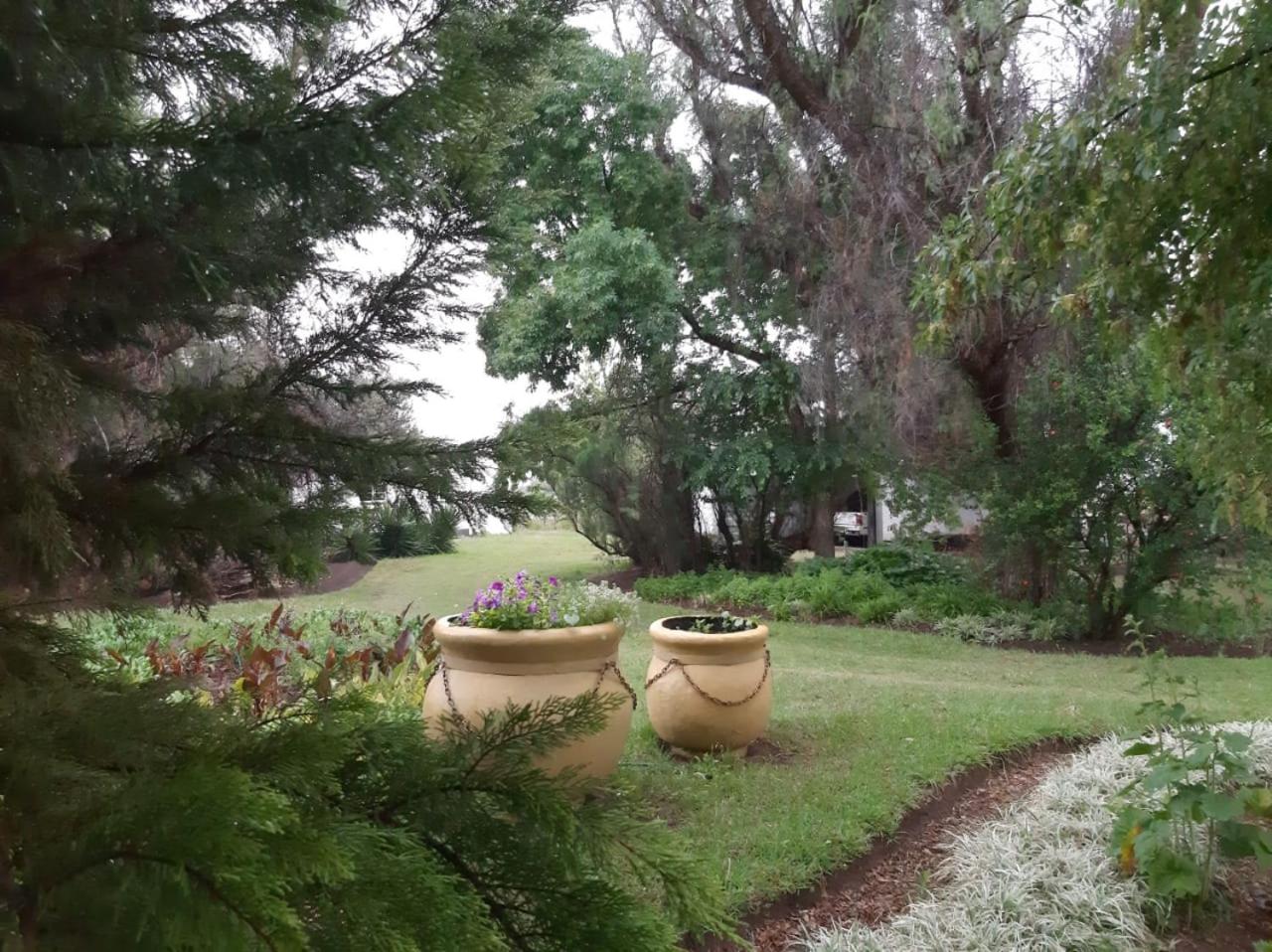 Soutpan Guesthouse view 4