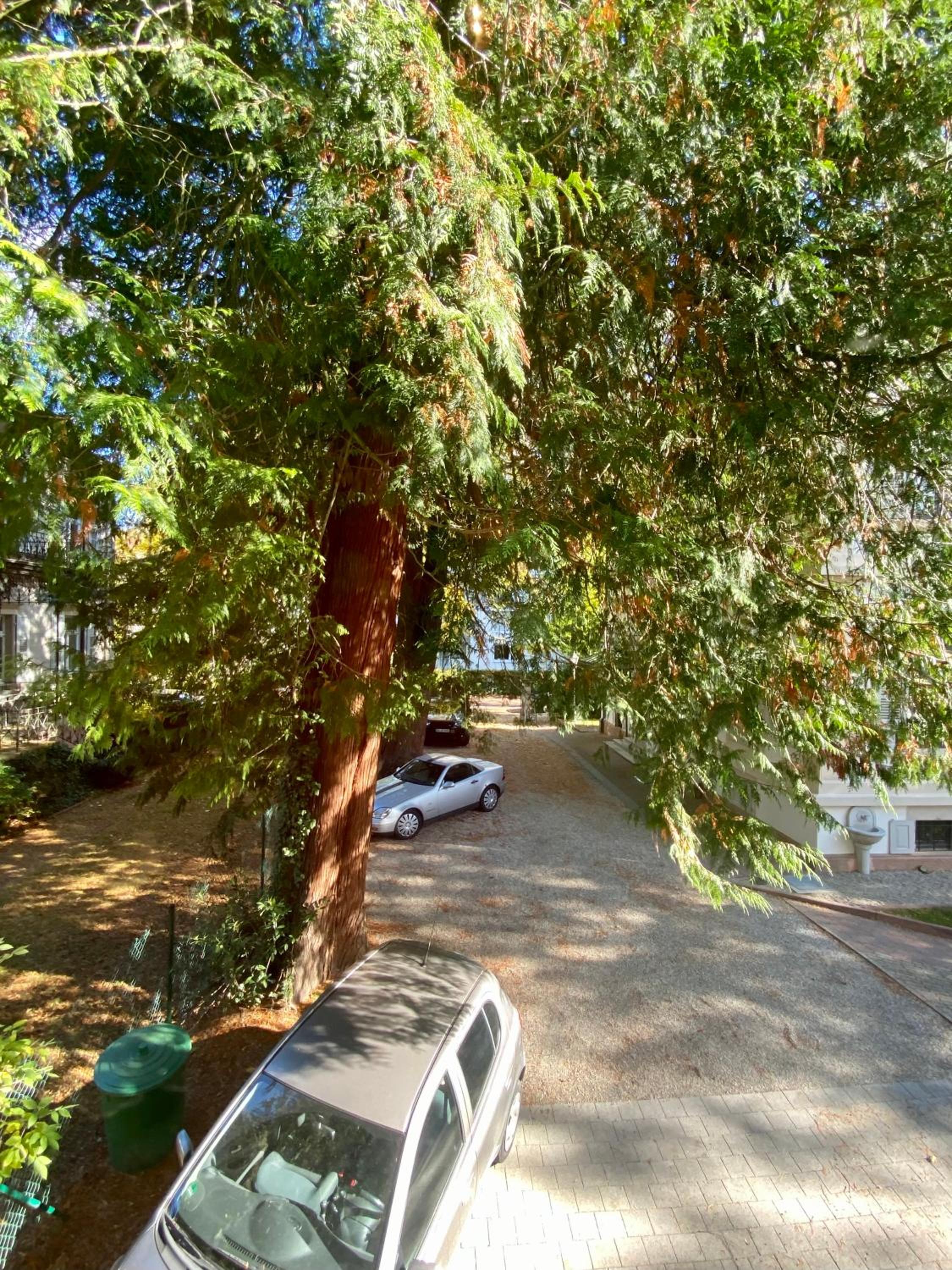 Villa Luttwitz, Photo 118