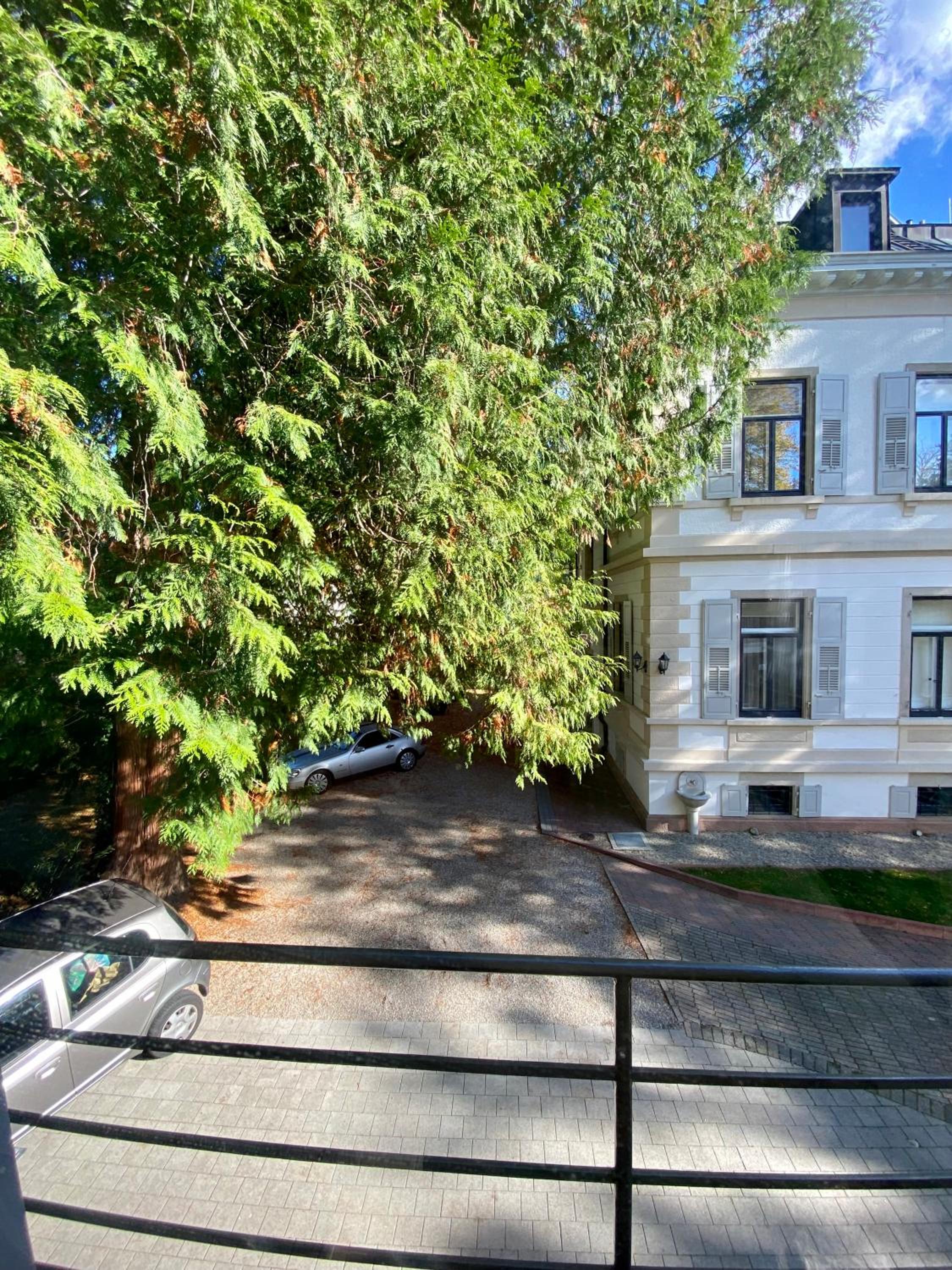 Villa Luttwitz, Photo 134