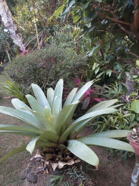 Photo 81