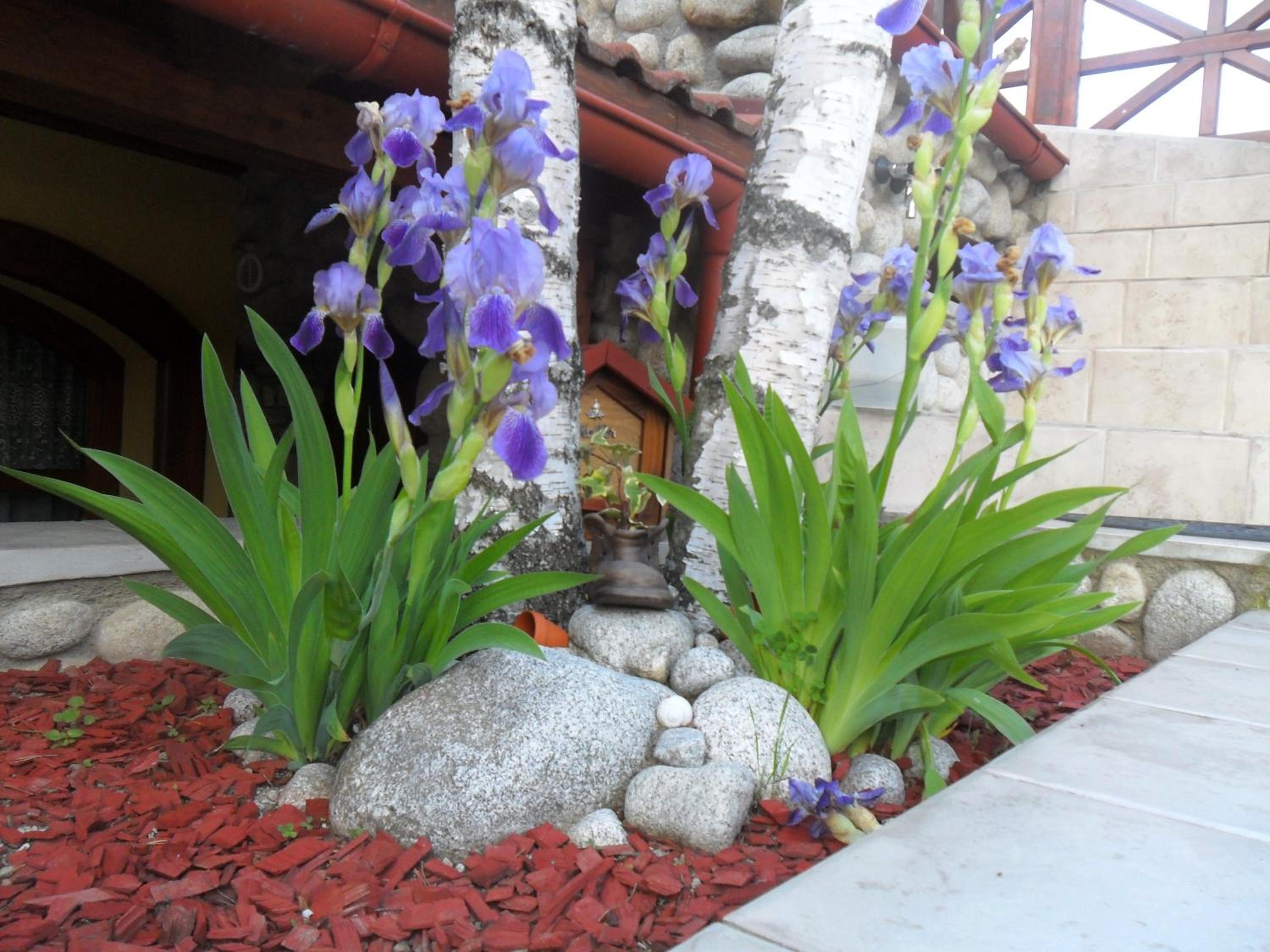 Photo 18
