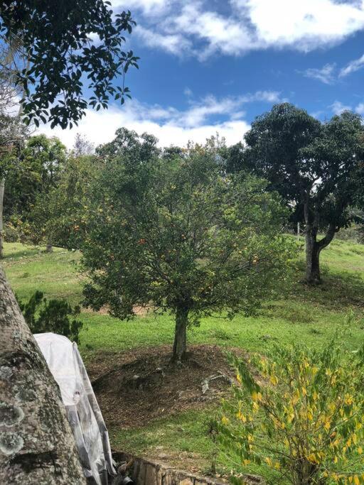 VillaLucia finca en tierra caliente cerca a Bogotá