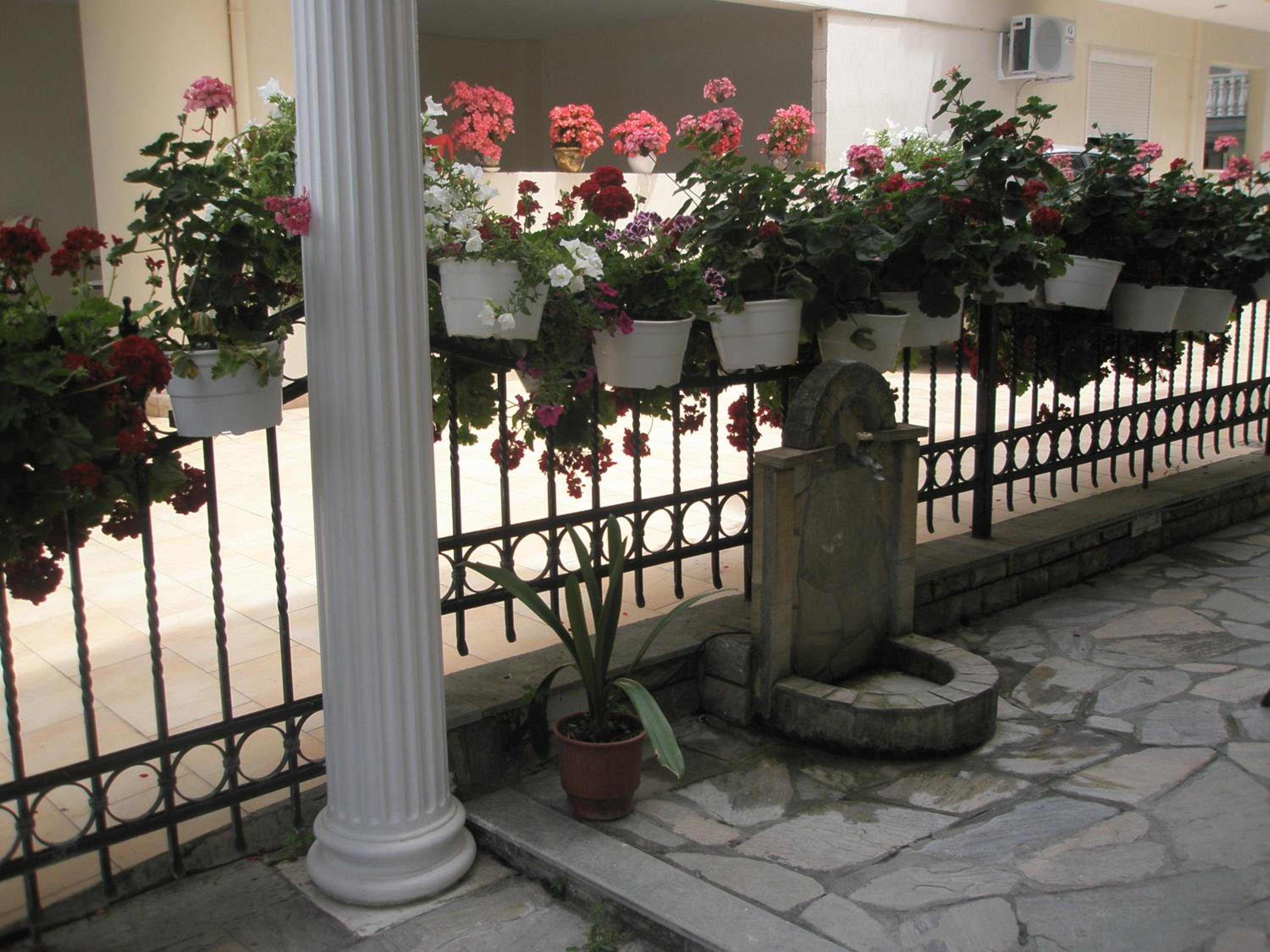 Photo 24