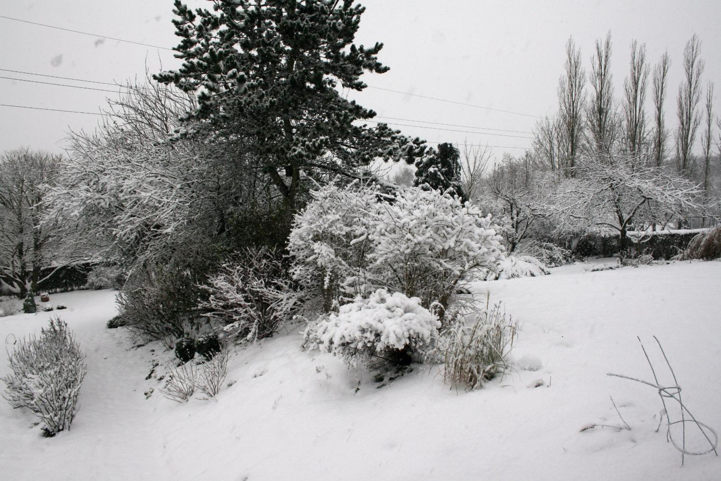B&B Le Jardin d'Epicure