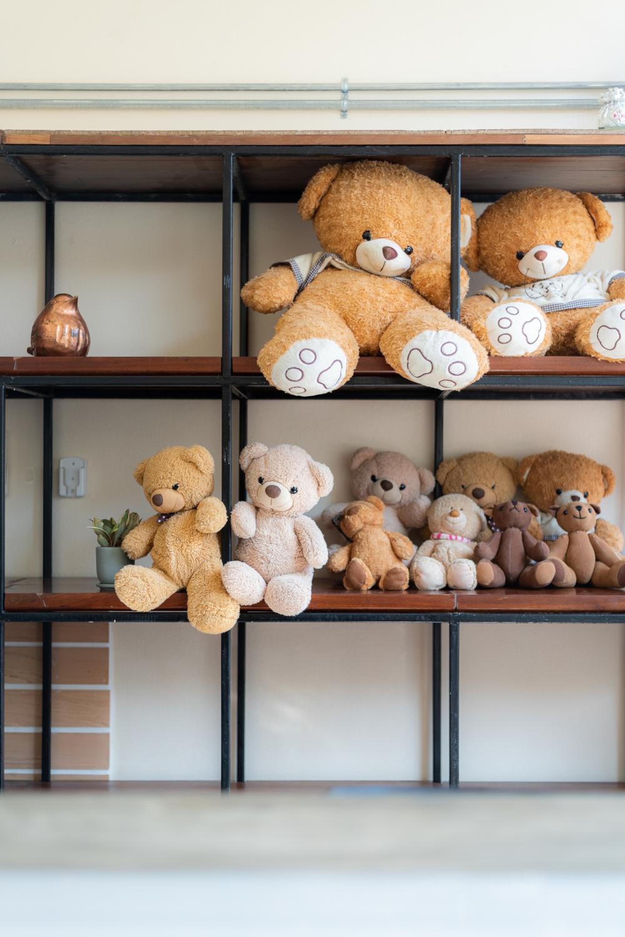 Little Bear's Home