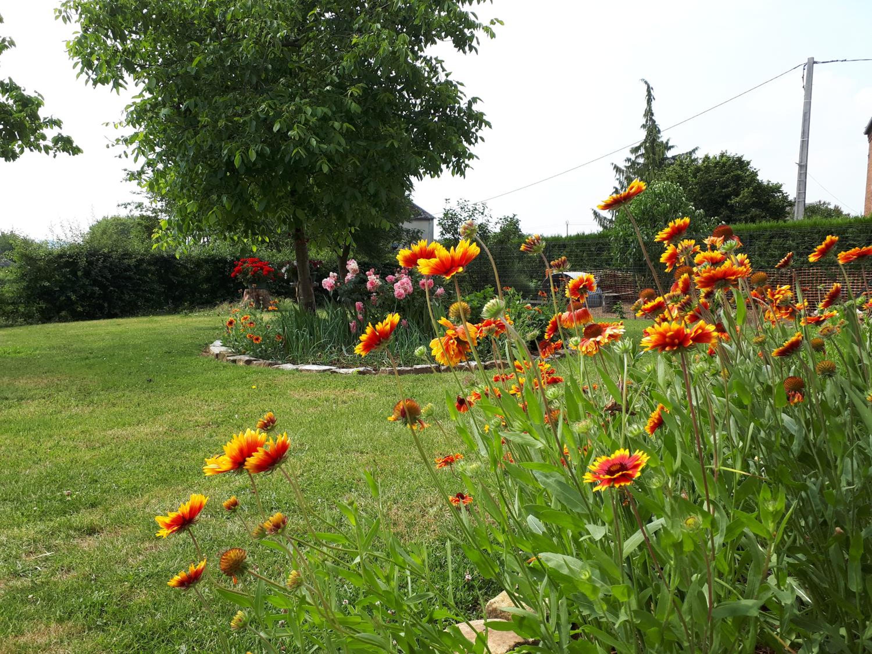 Photo 17