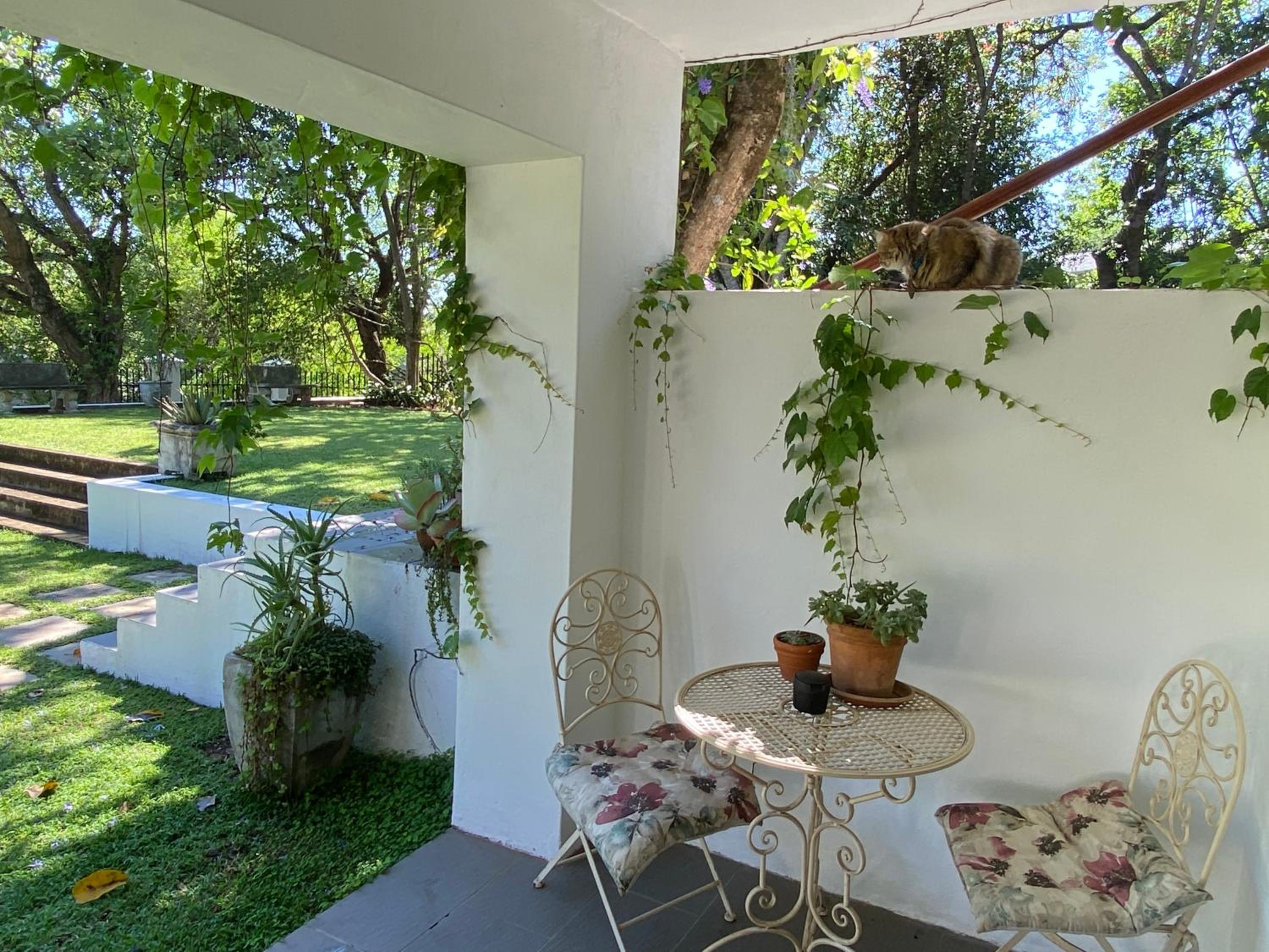 The Aloes view 4