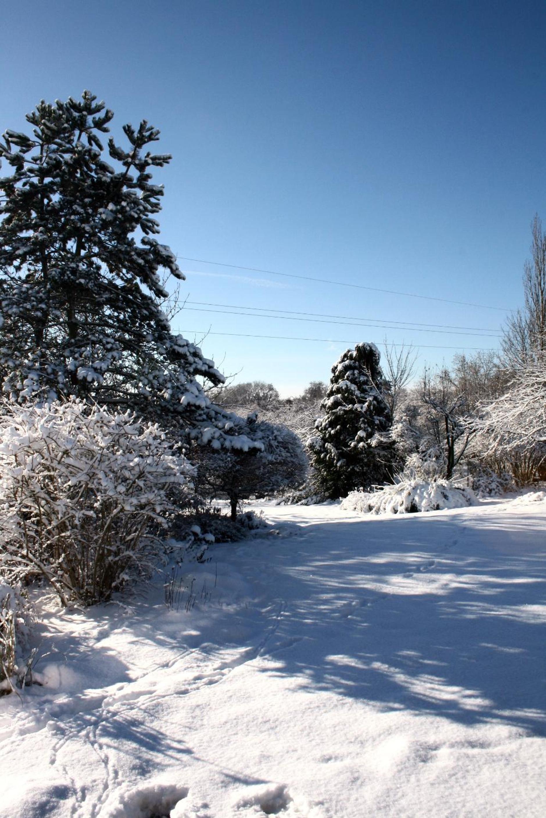 B&B Le Jardin d'Epicure