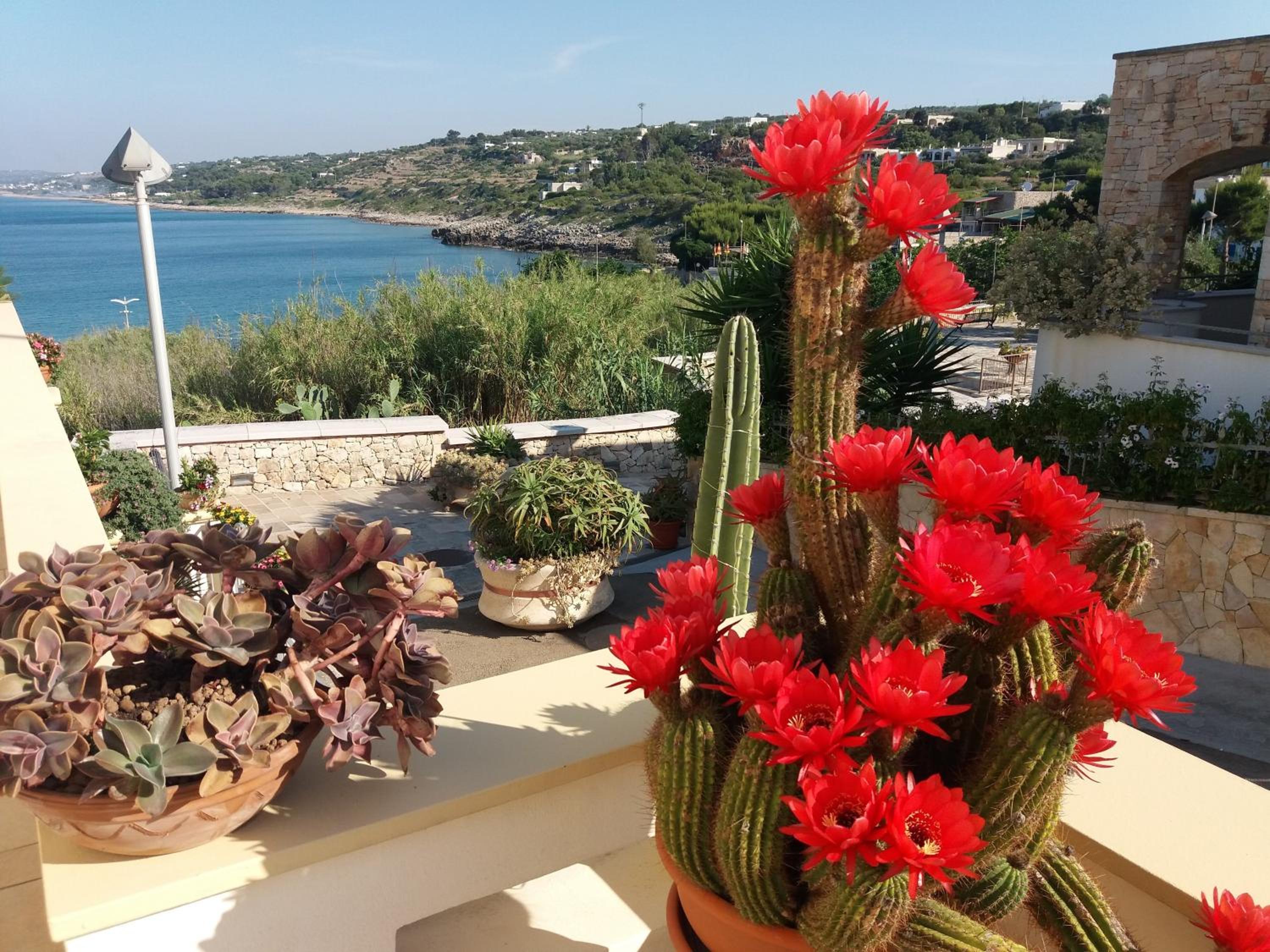 Appartamenti Baia Azzurra photo 4