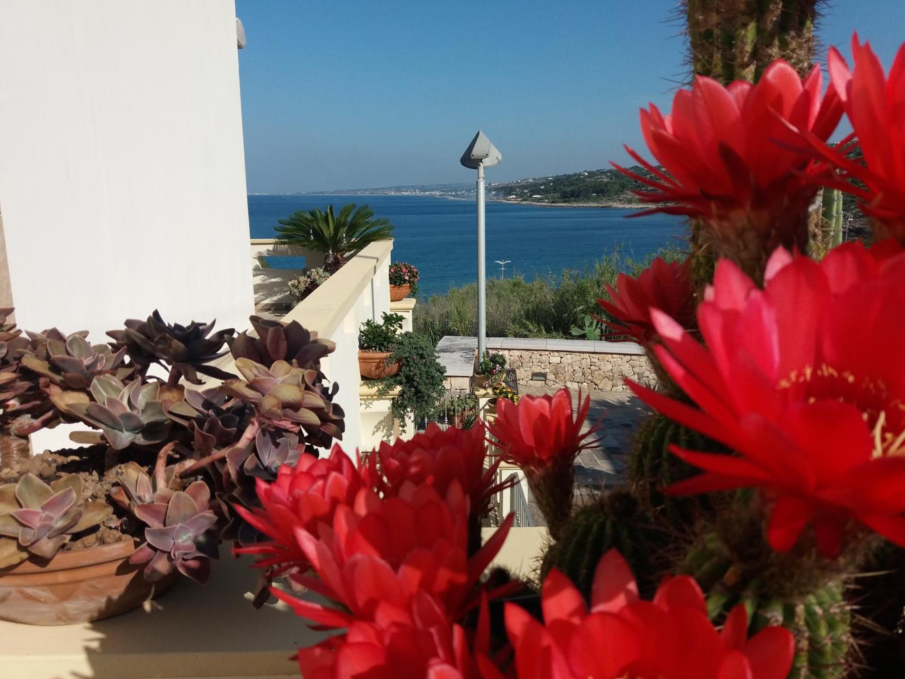 Appartamenti Baia Azzurra photo 5