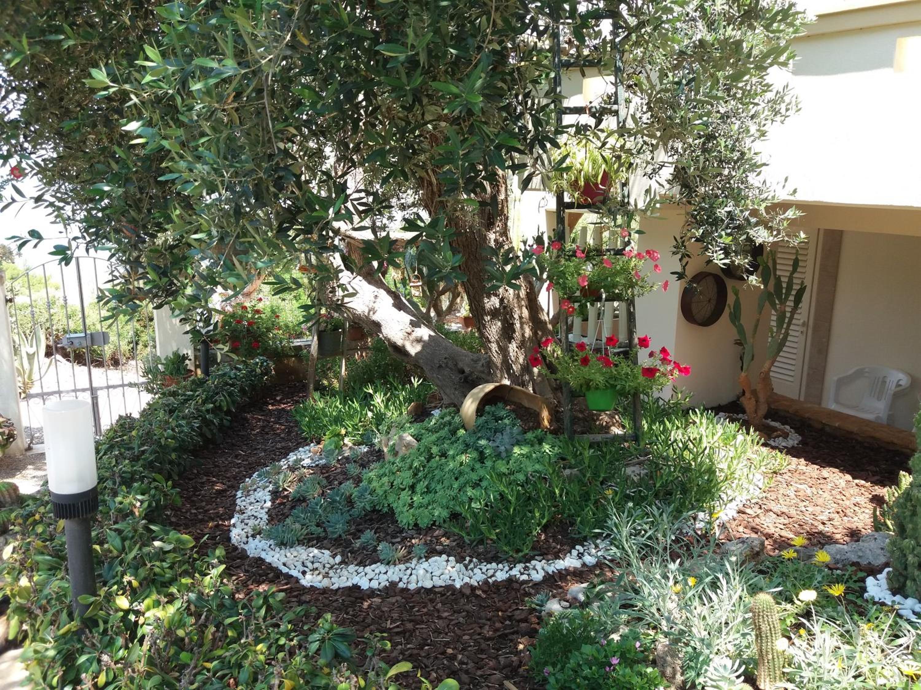Photo 21