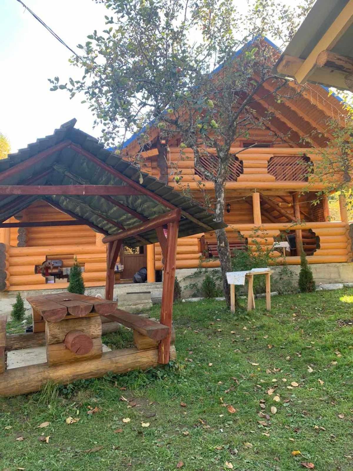 Cottage Лісовий view 5