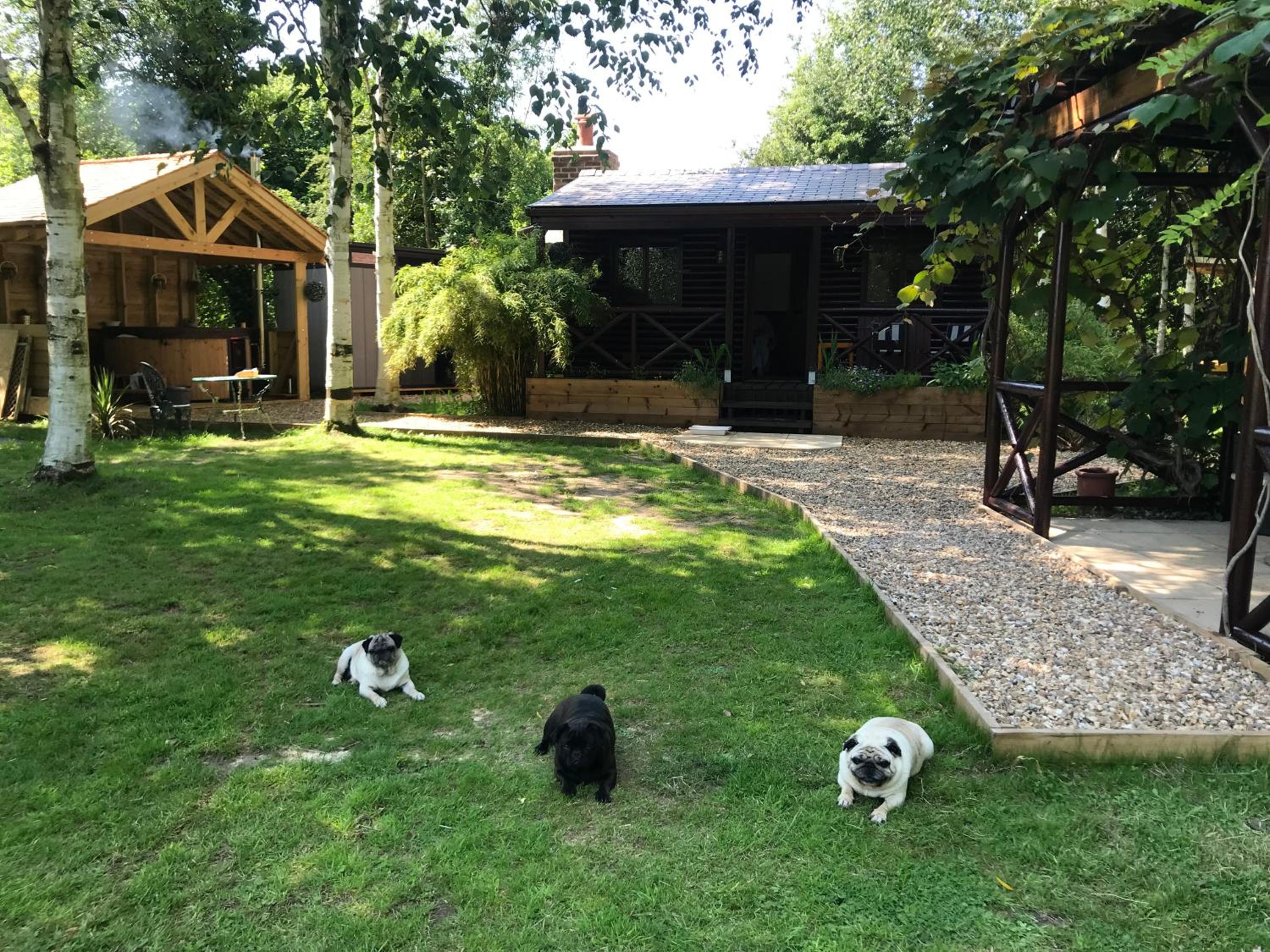 Luxury Log Cabin with Outdoor Wood Fired Hot Tub & Pizza Oven view 3
