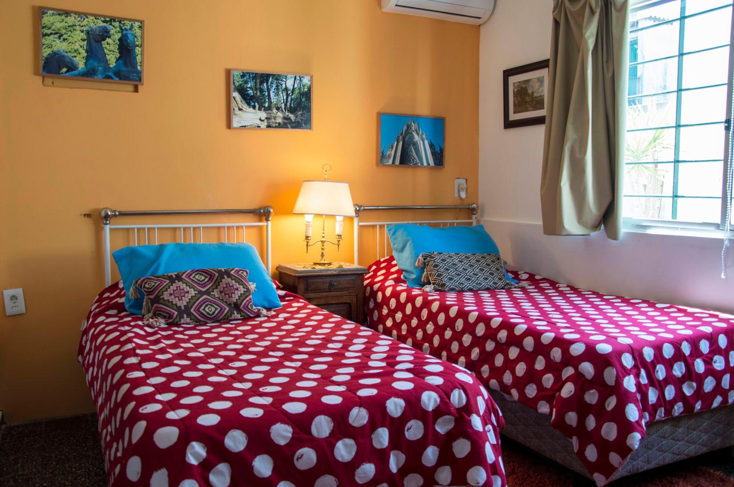 Cane B&B