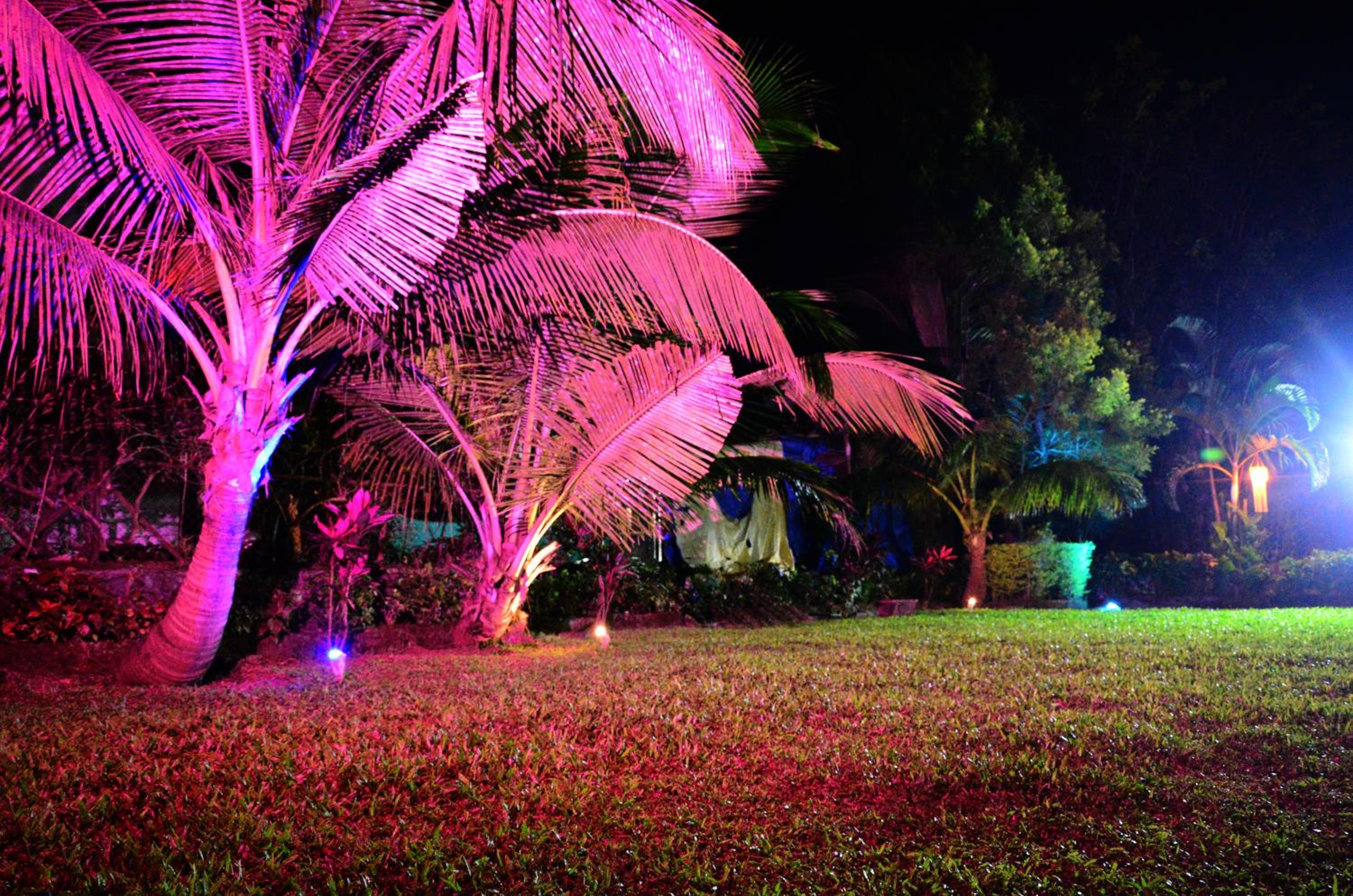 Photo 42