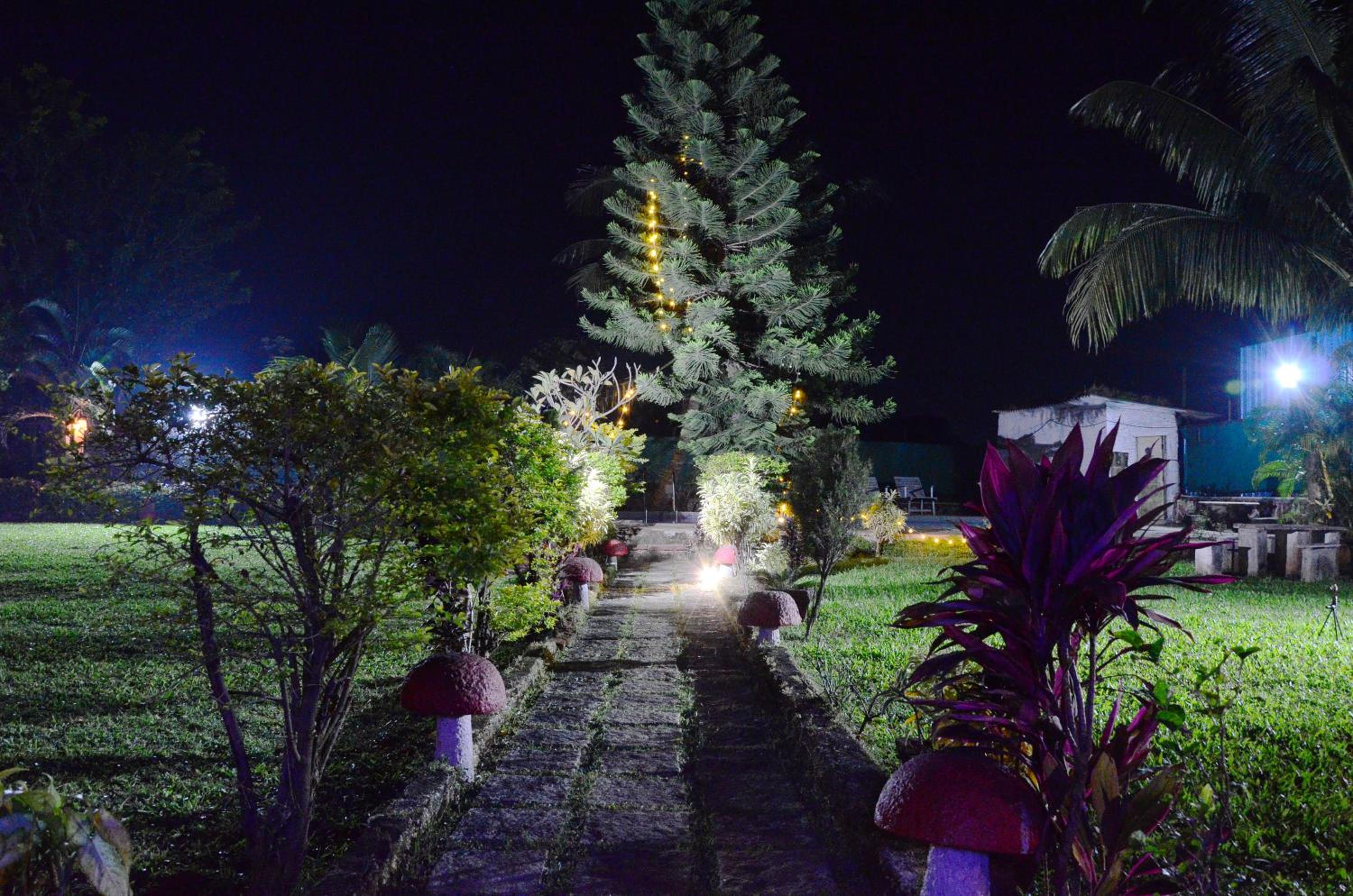 Photo 9