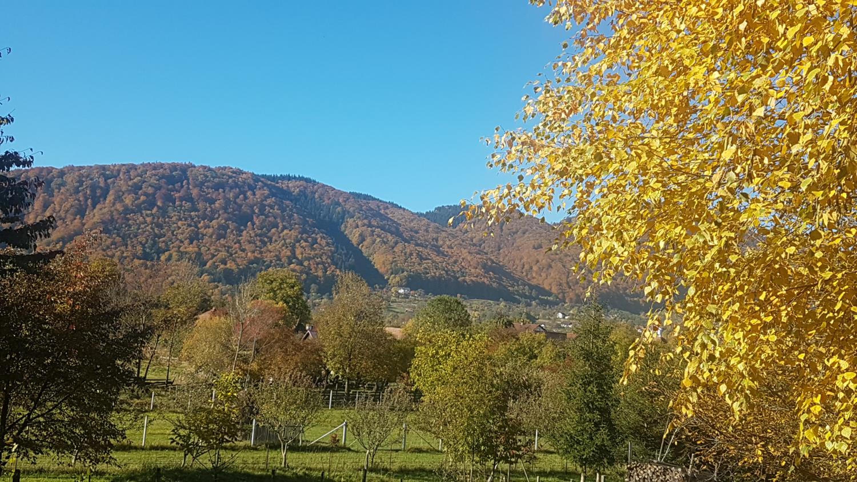 Pensiunea Cehov