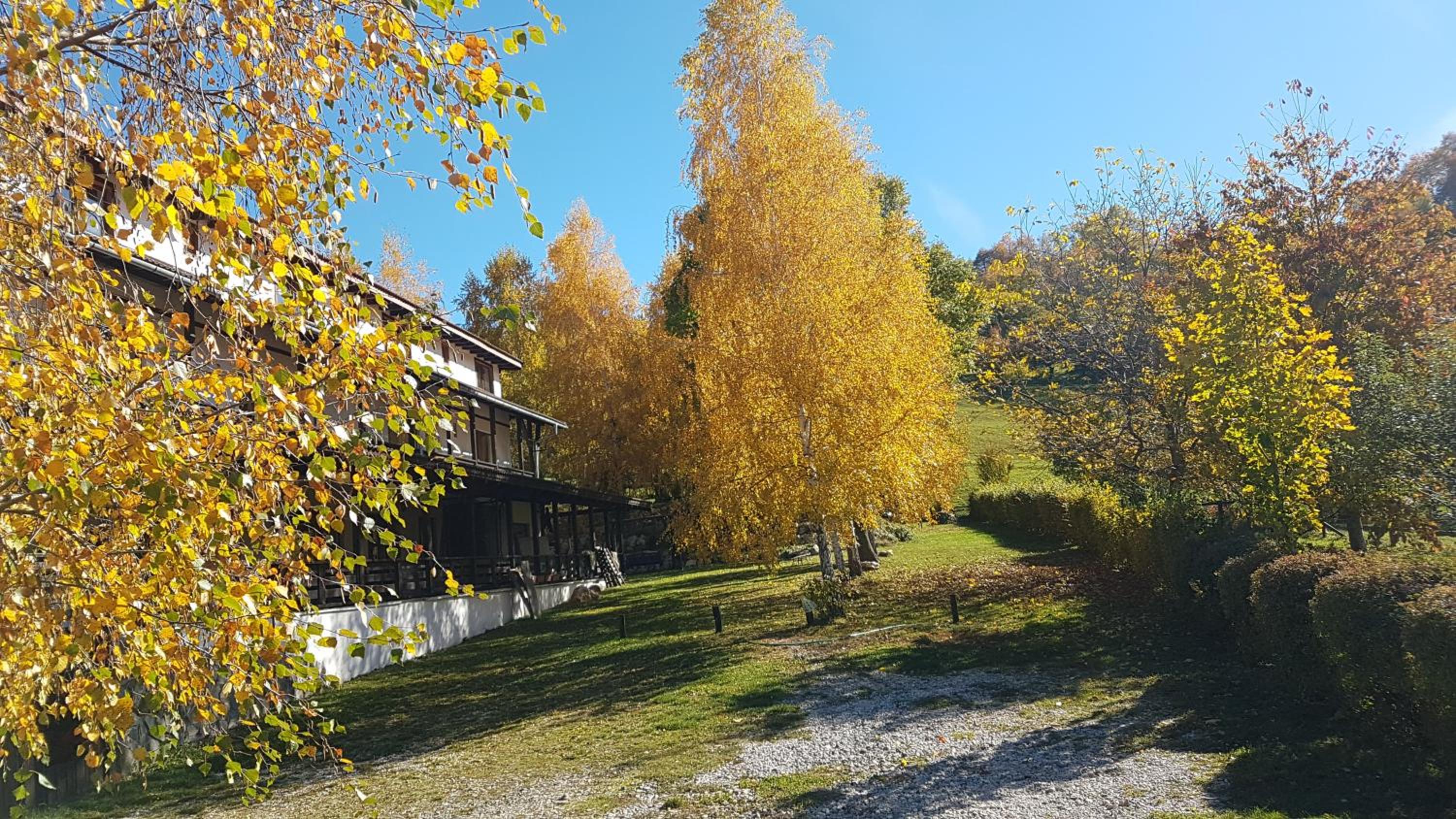 Pensiunea Cehov