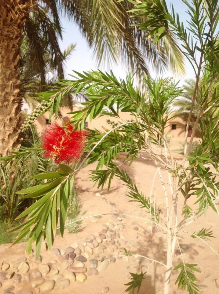 Photo 44