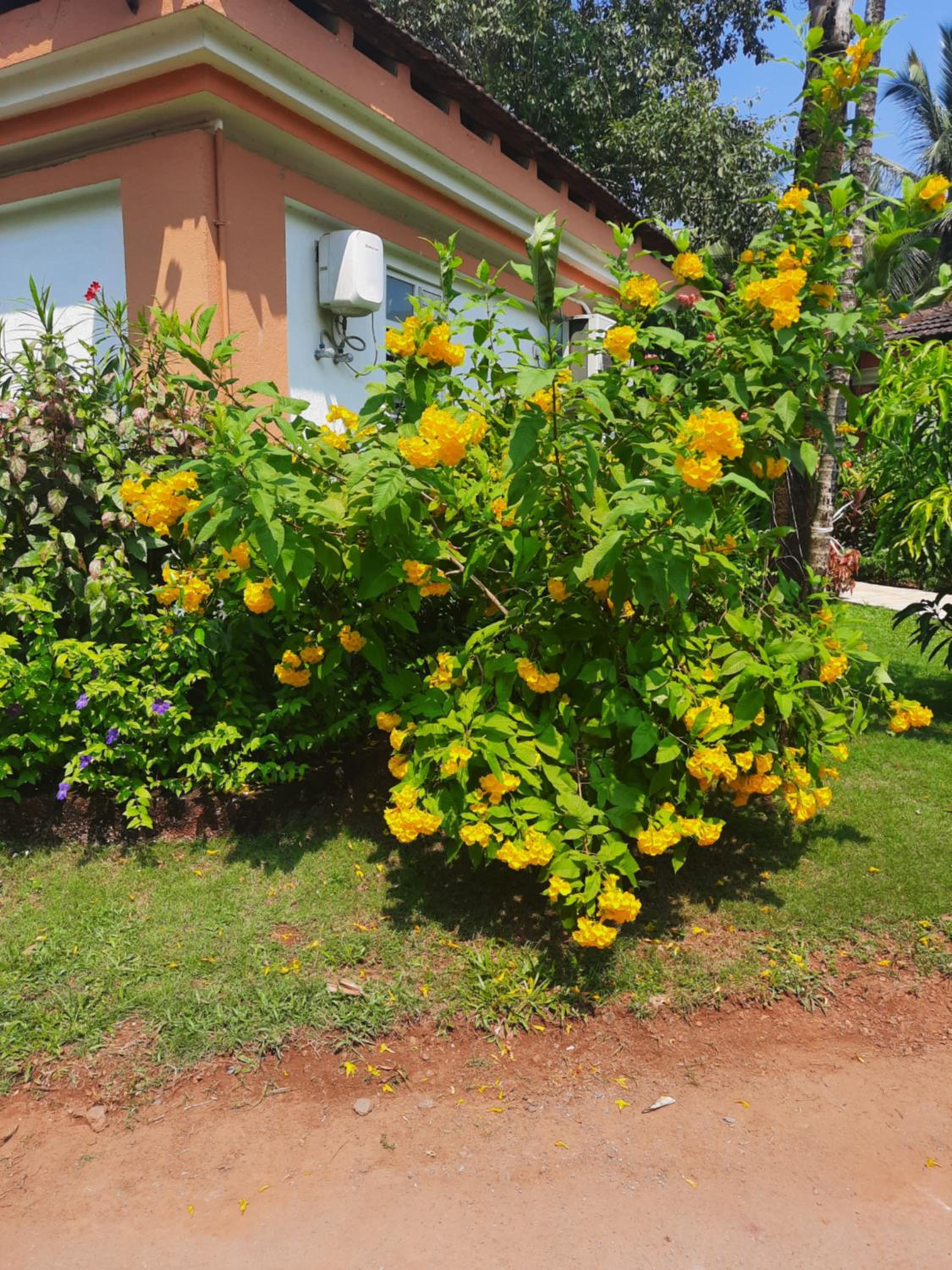 Villa Sunflower view 4