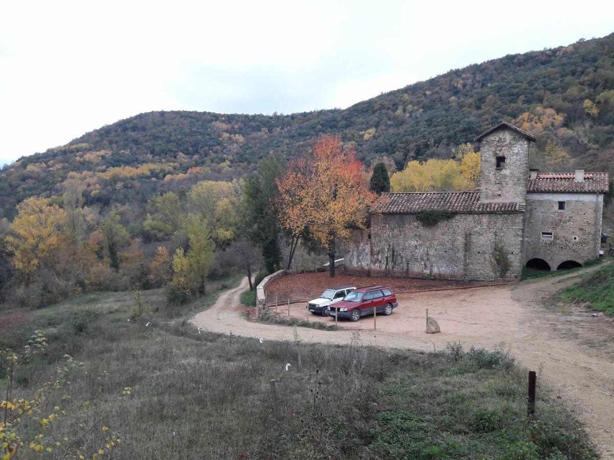 Photo 41