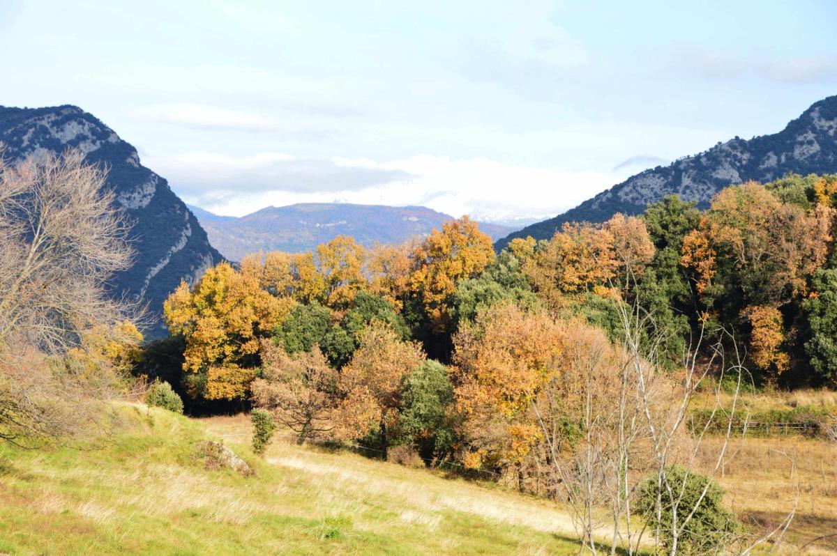 Photo 40