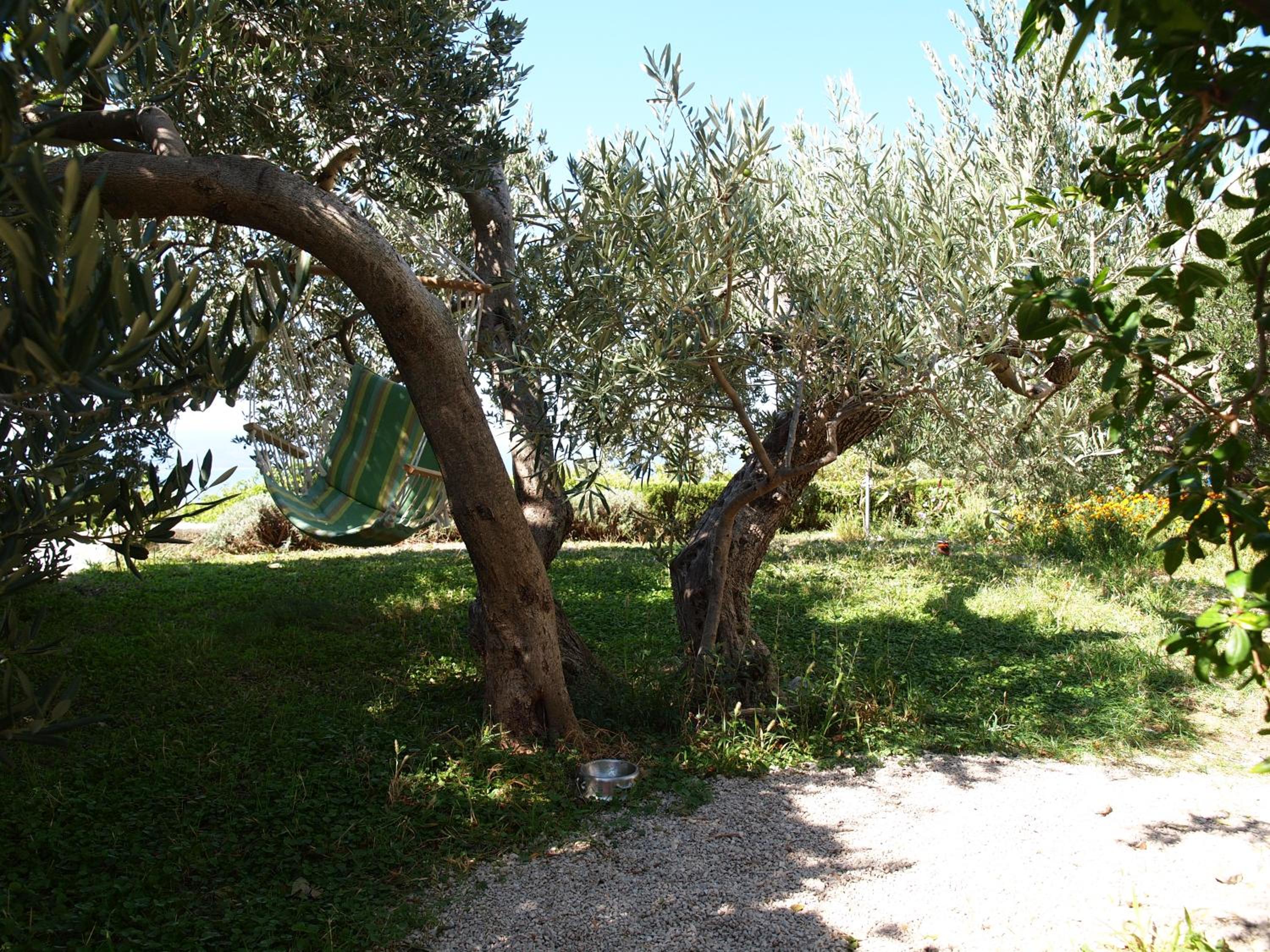 Photo 38