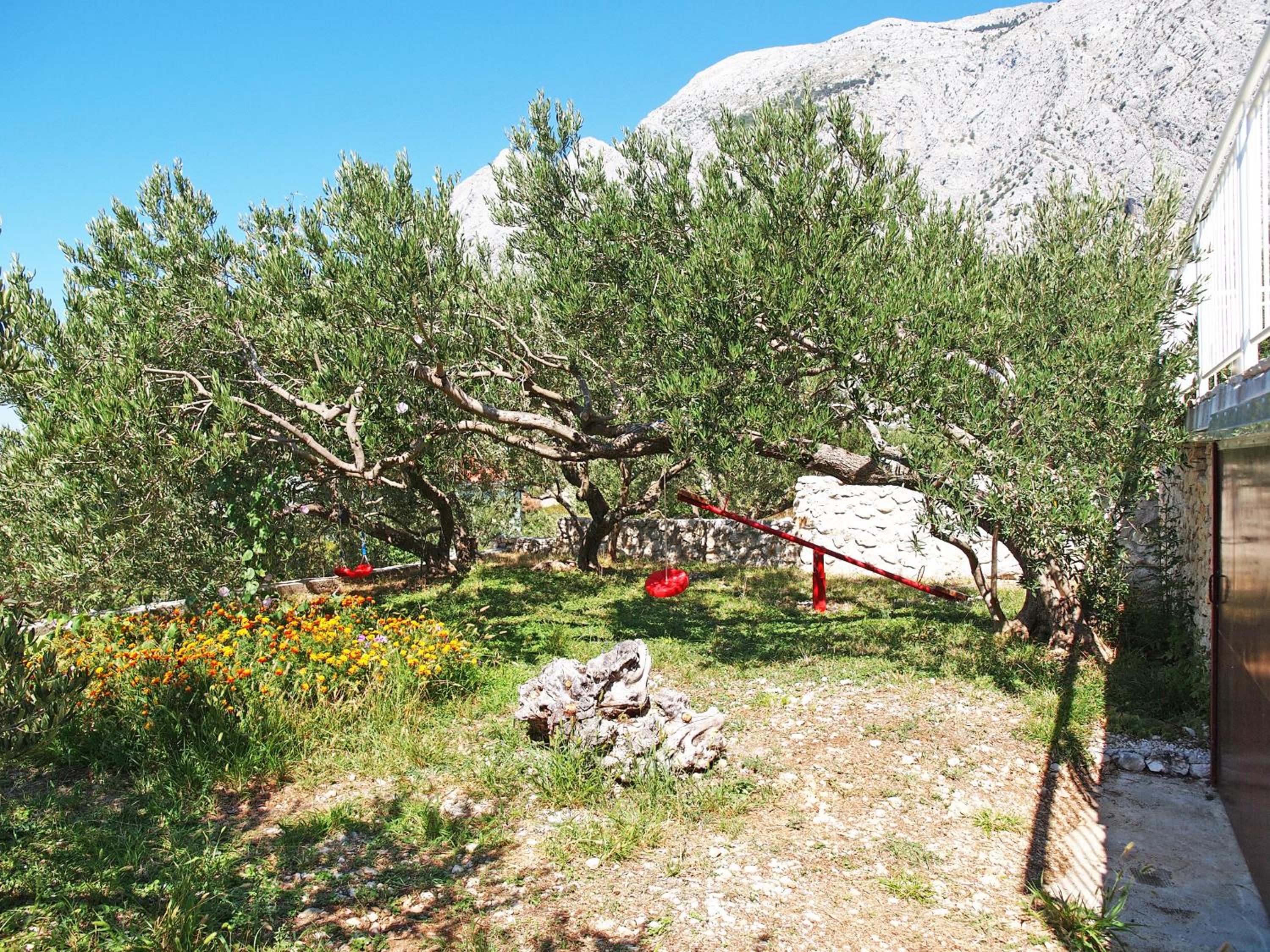 Photo 42