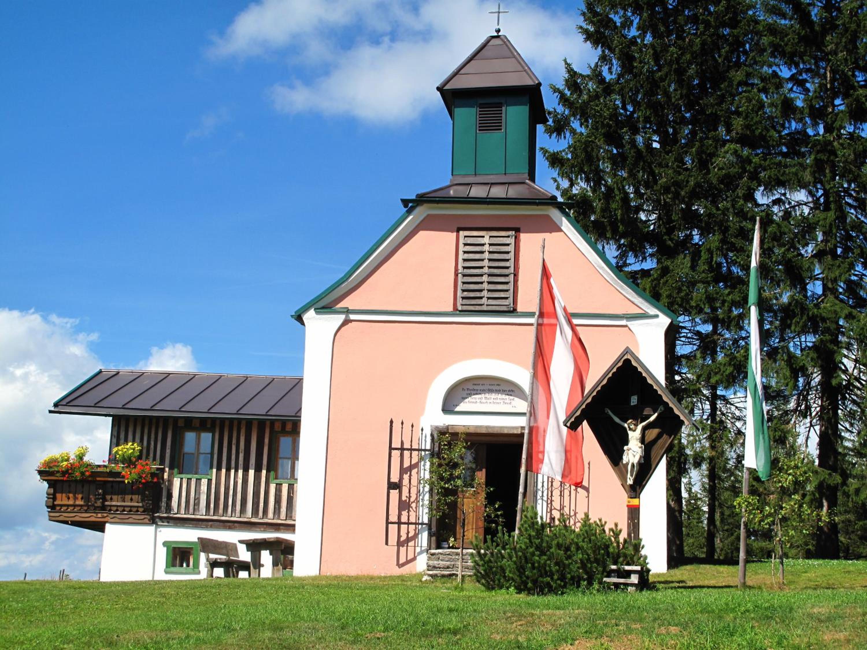 Photo 41