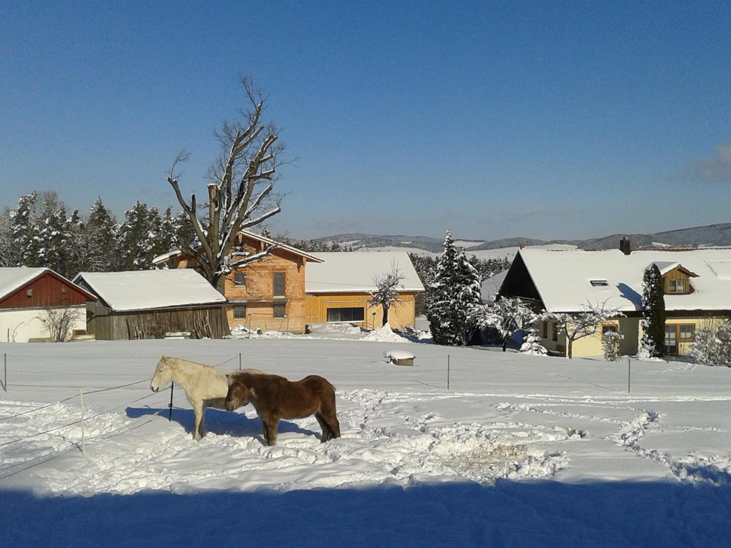 Photo 27