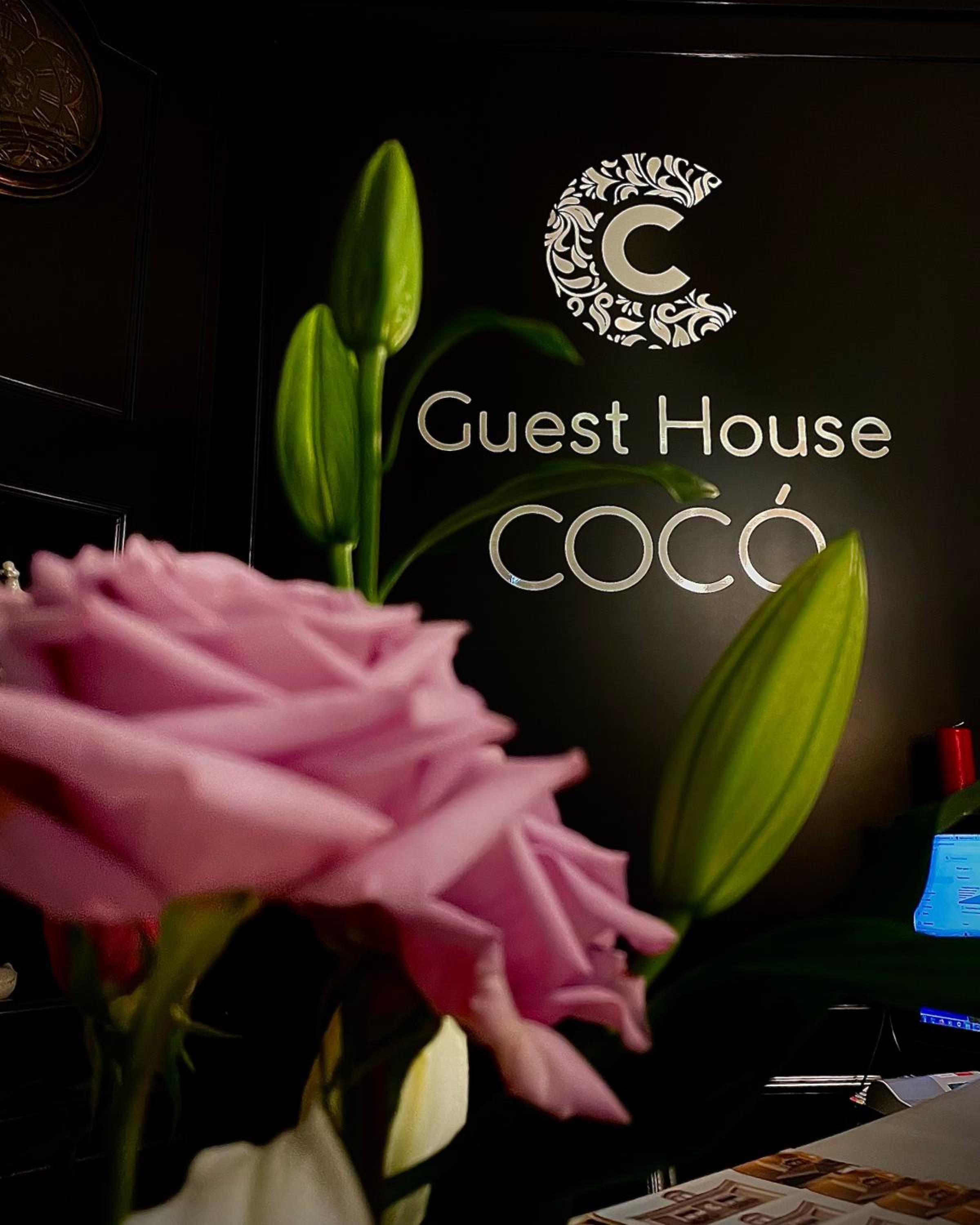Boutique Guest House Coco