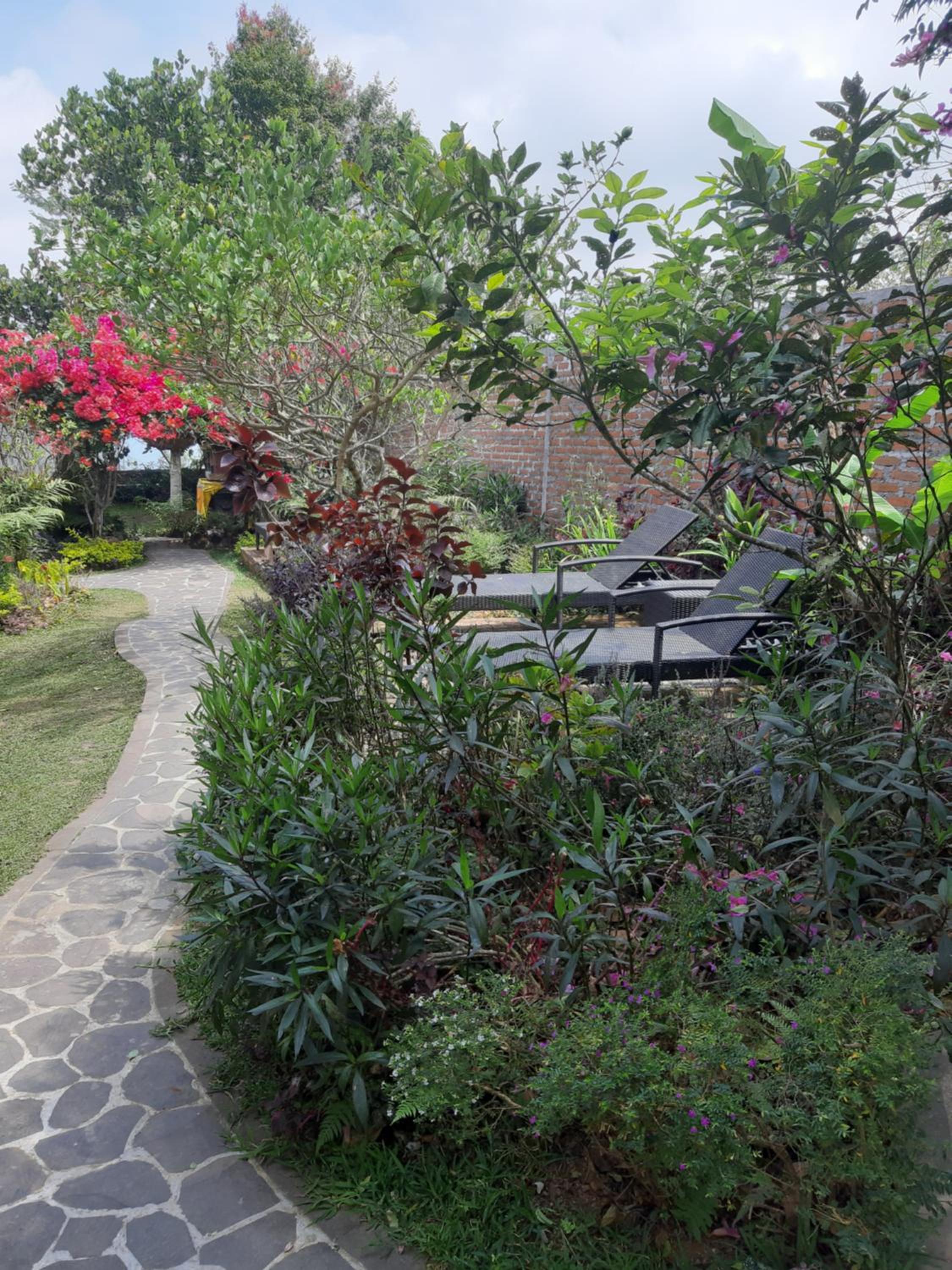 Terrasse du Lac Munduk