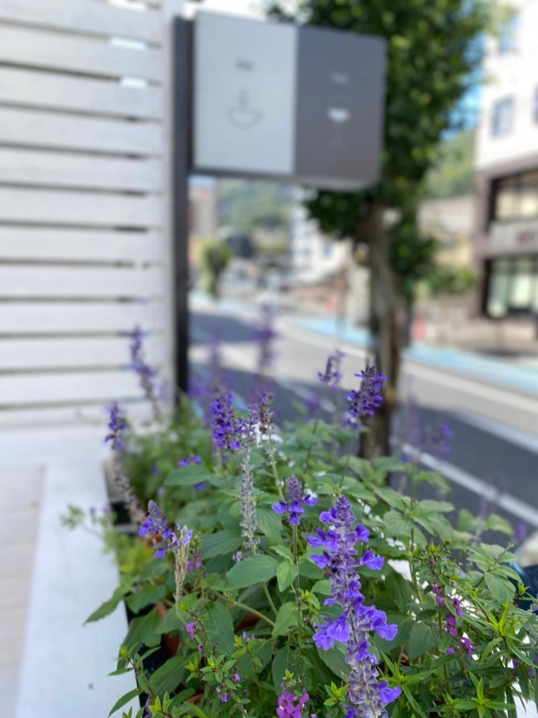 En- Hostel & Café bar, Amami - 21