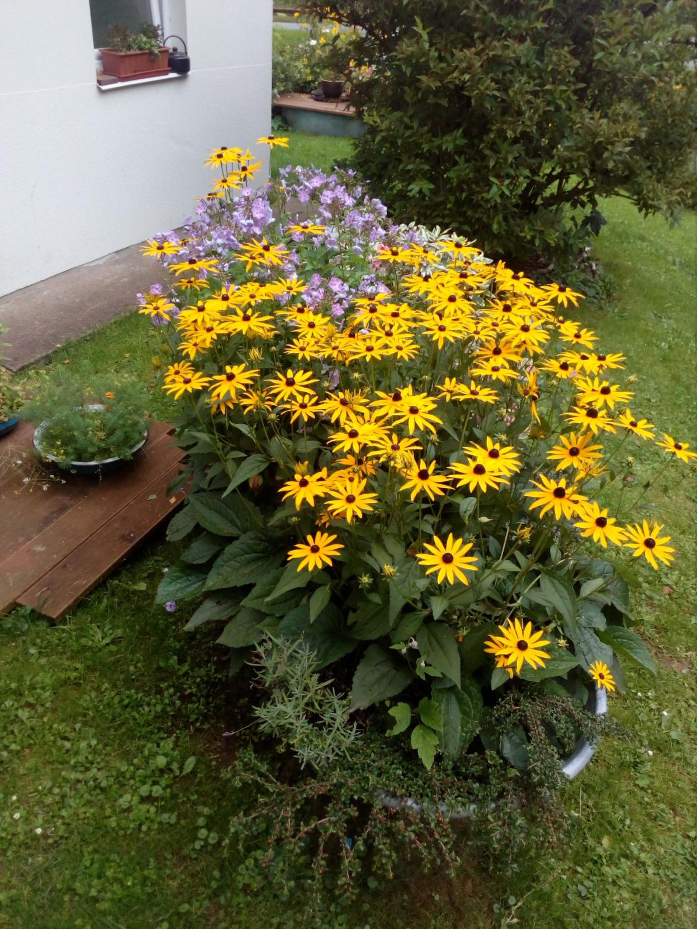 Photo 31