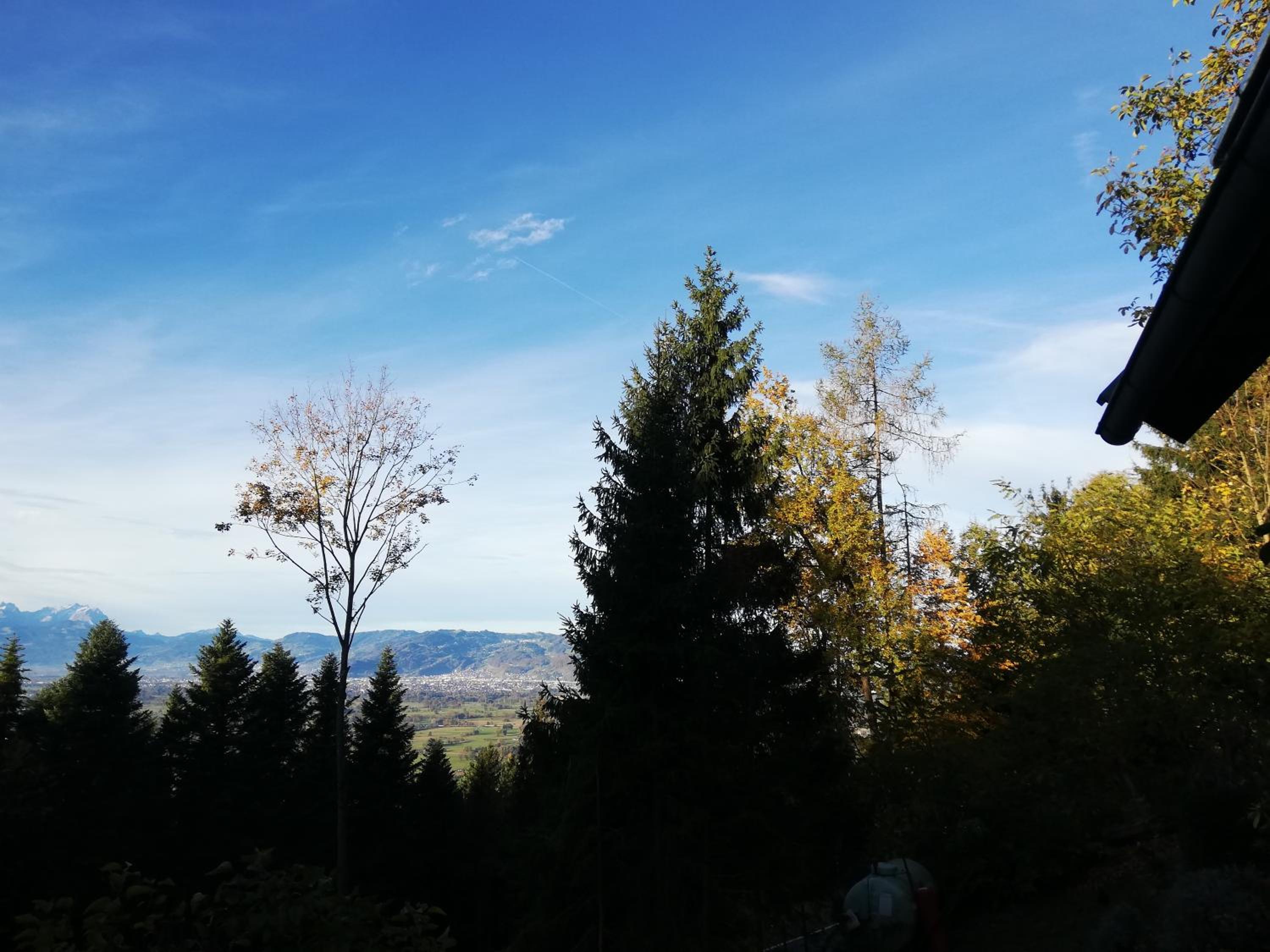 1 ZI Appartement Zauberwald