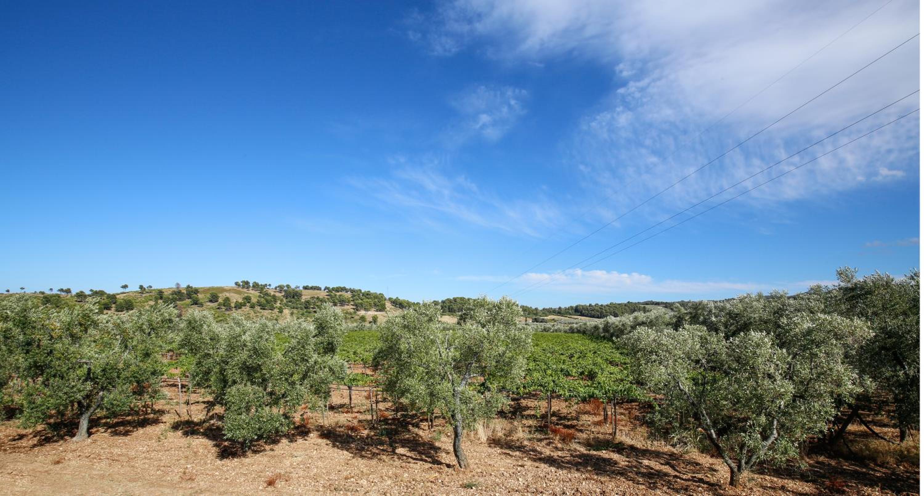 Agriturismo Posta Pastorella