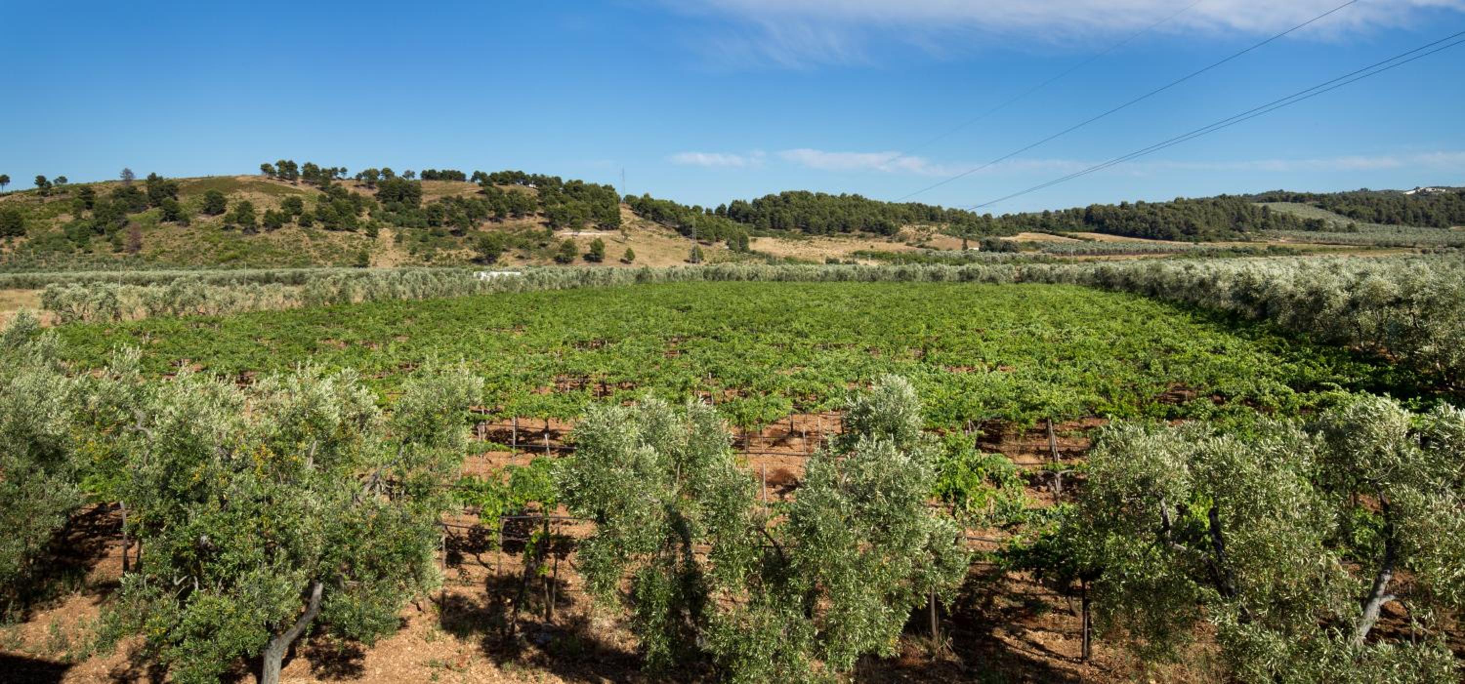 Agriturismo Posta Pastorella
