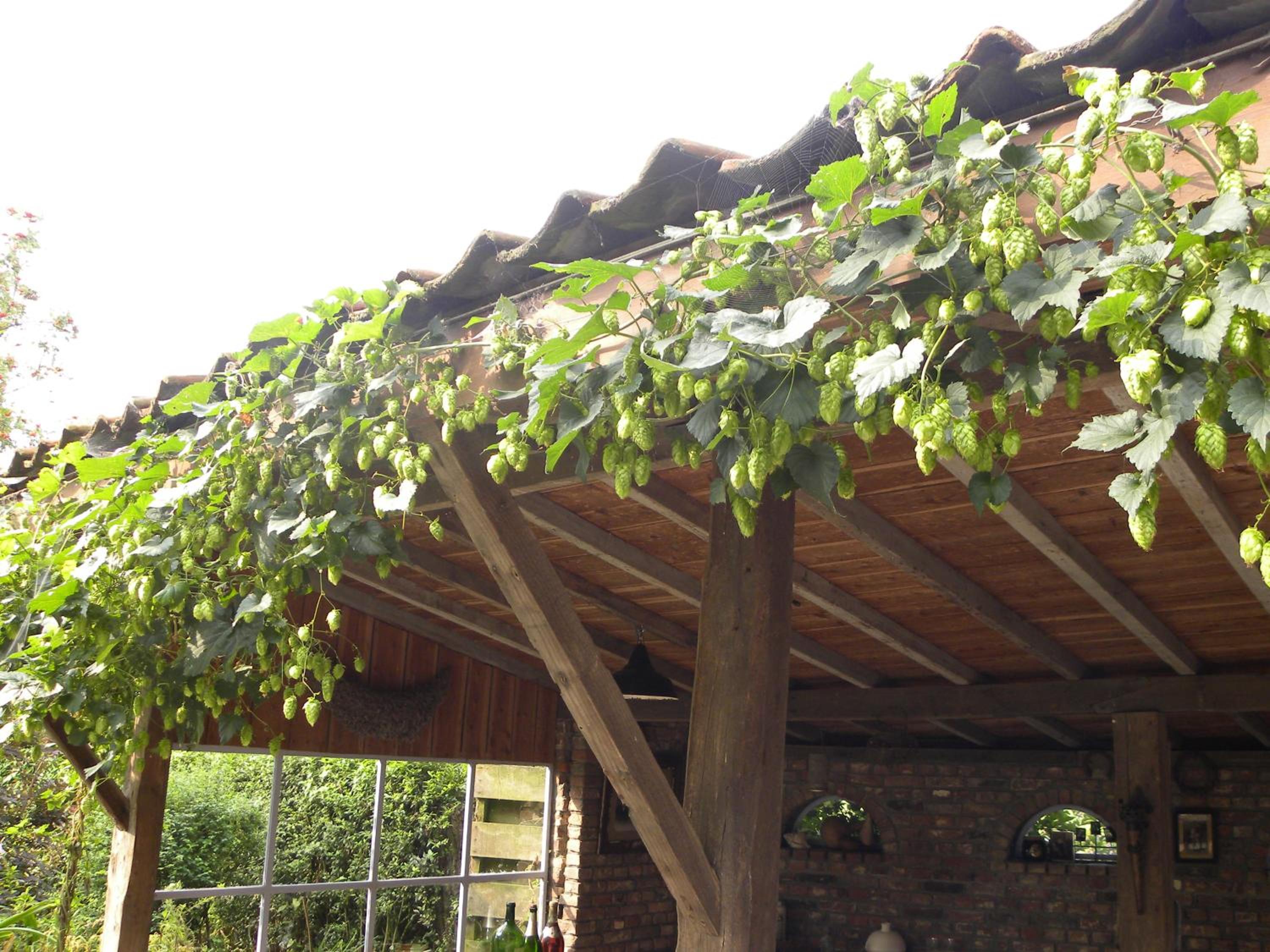 B&B Col del vino