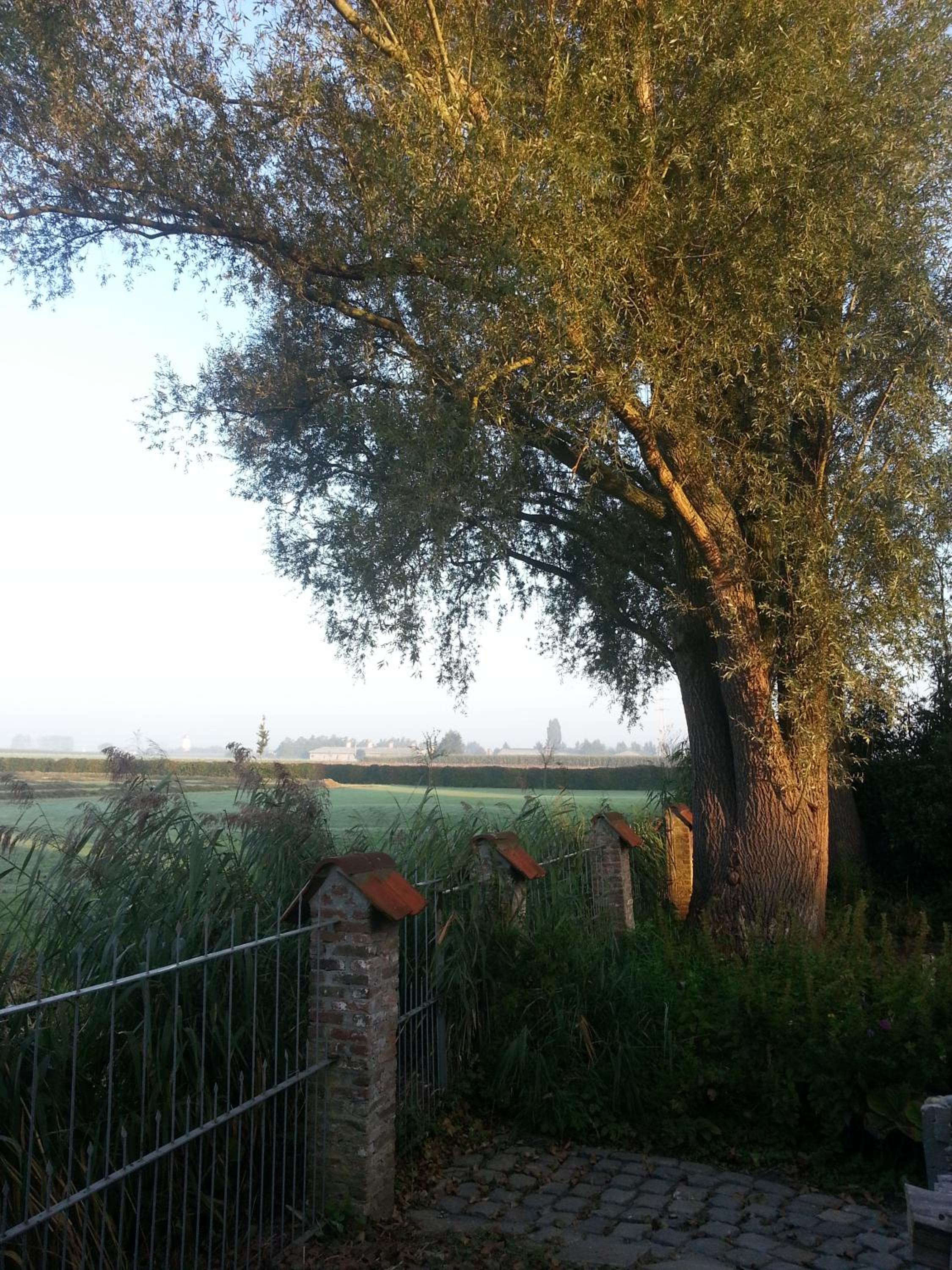 B&B Col del vino