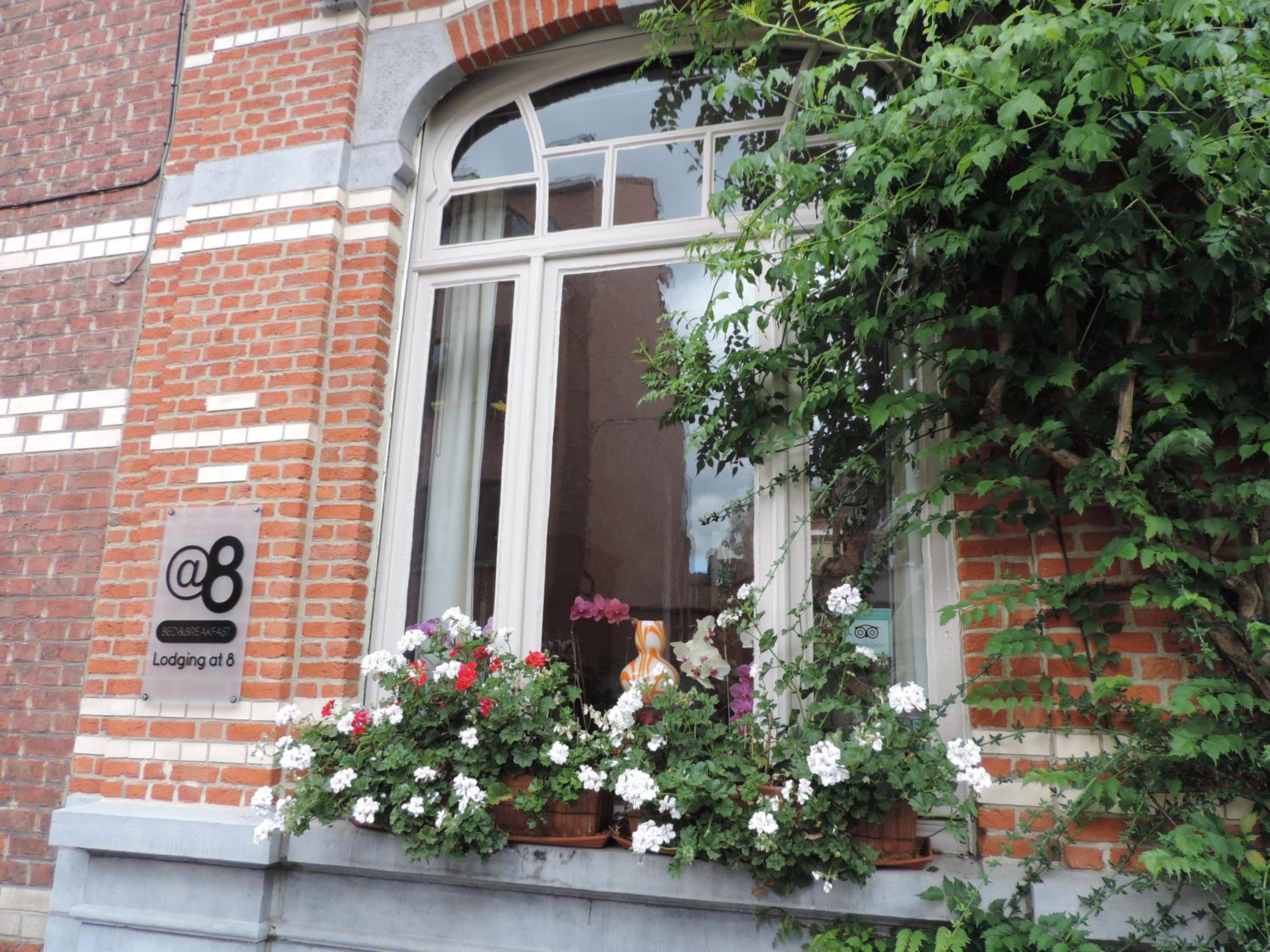 B&B Lodging At 8